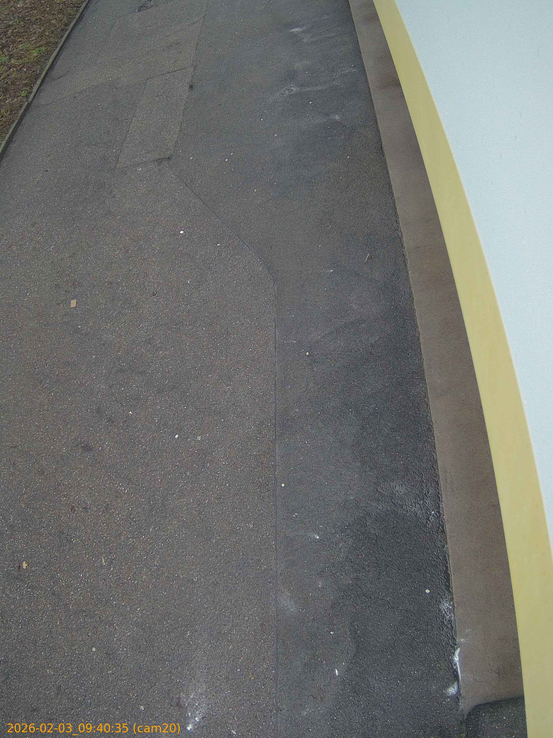 thumbnail_20260203094035