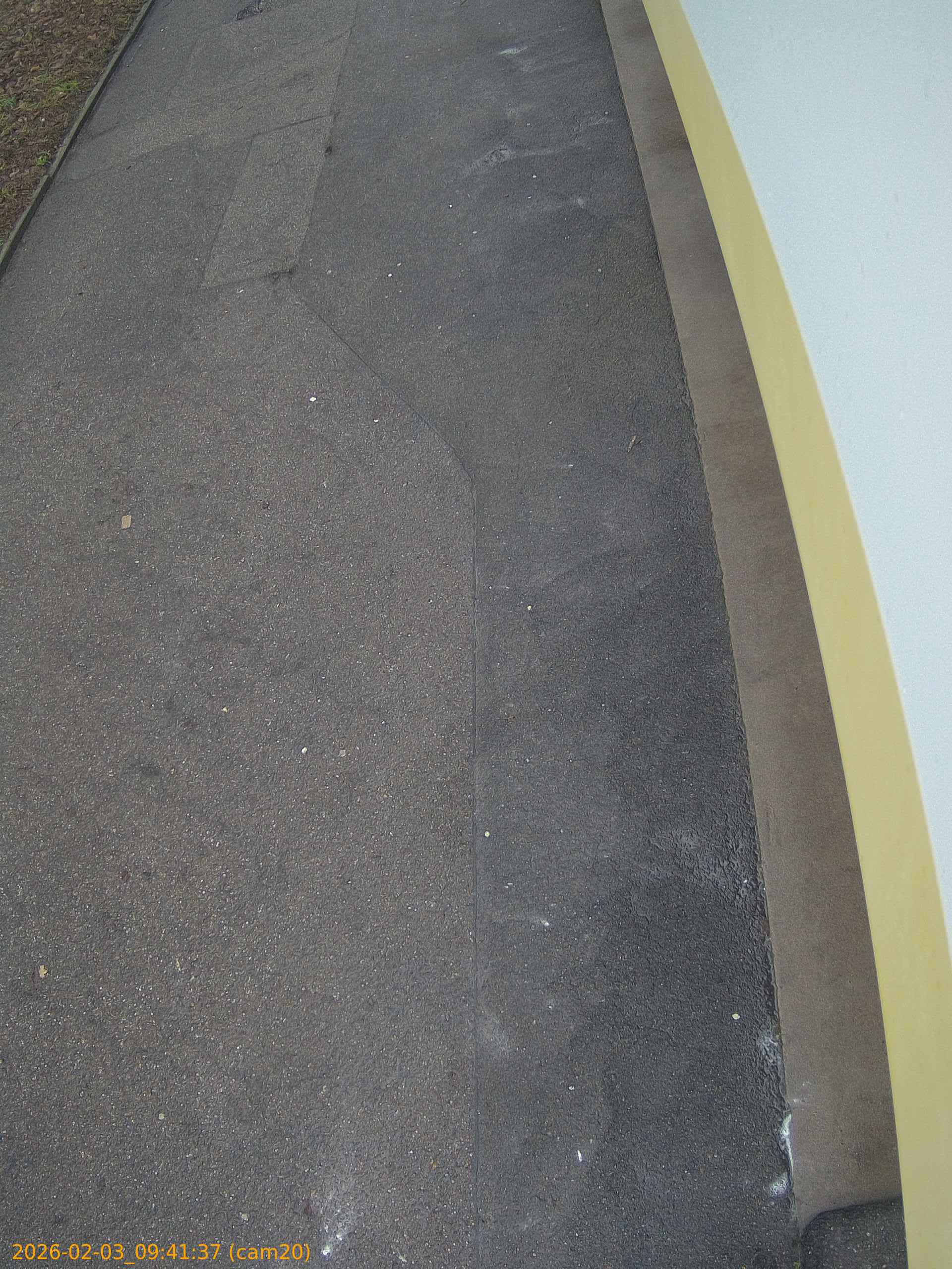 thumbnail_20260203094137