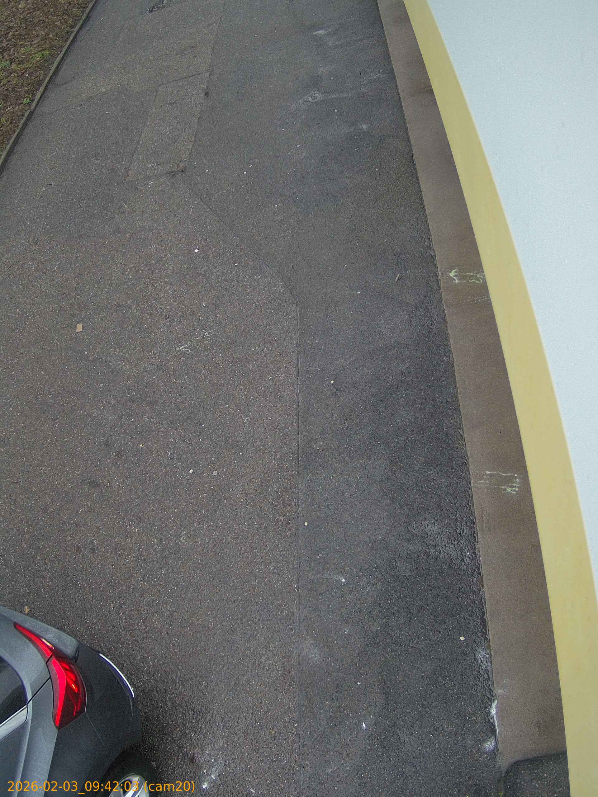 thumbnail_20260203094203