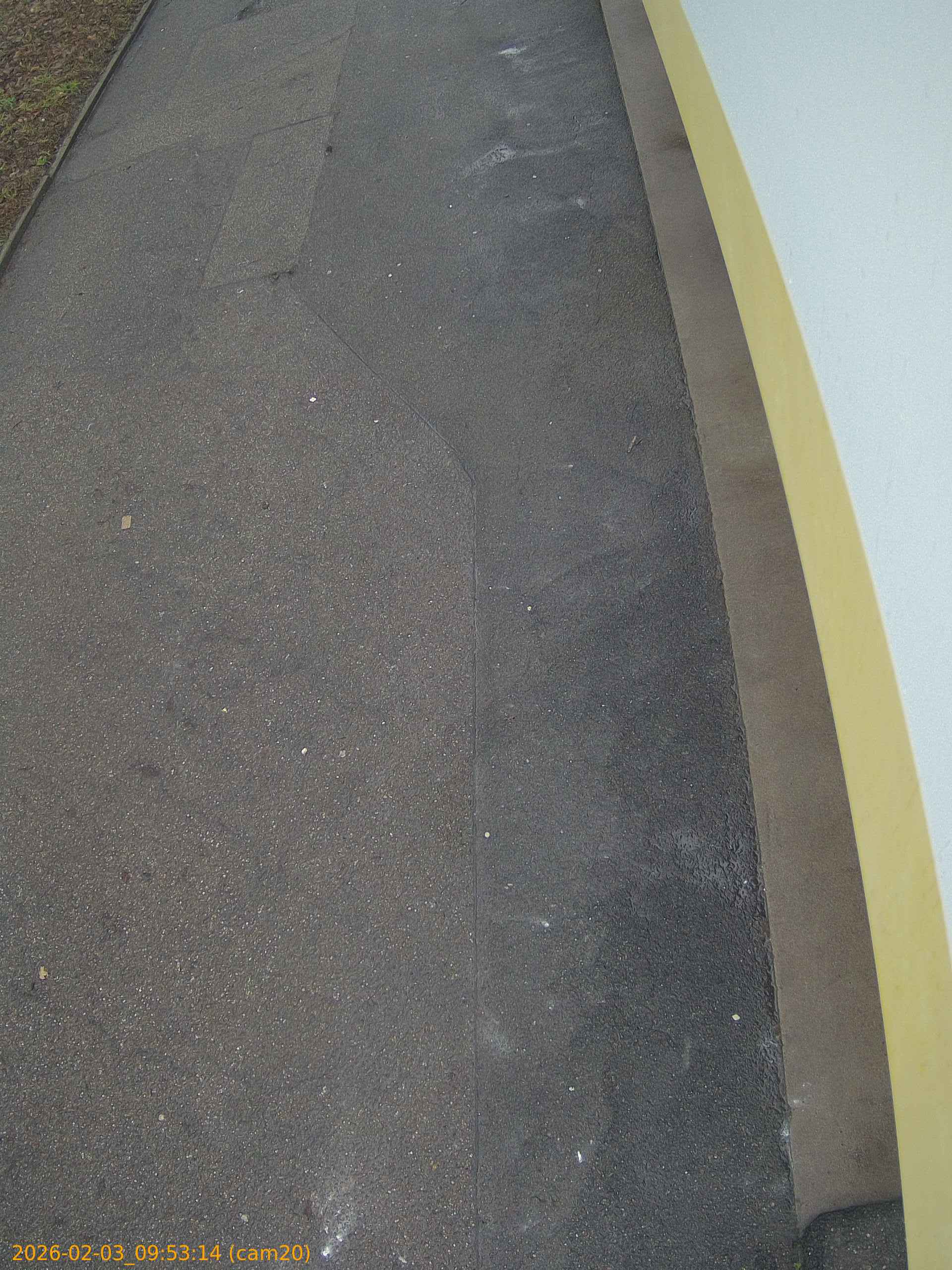 thumbnail_20260203095314