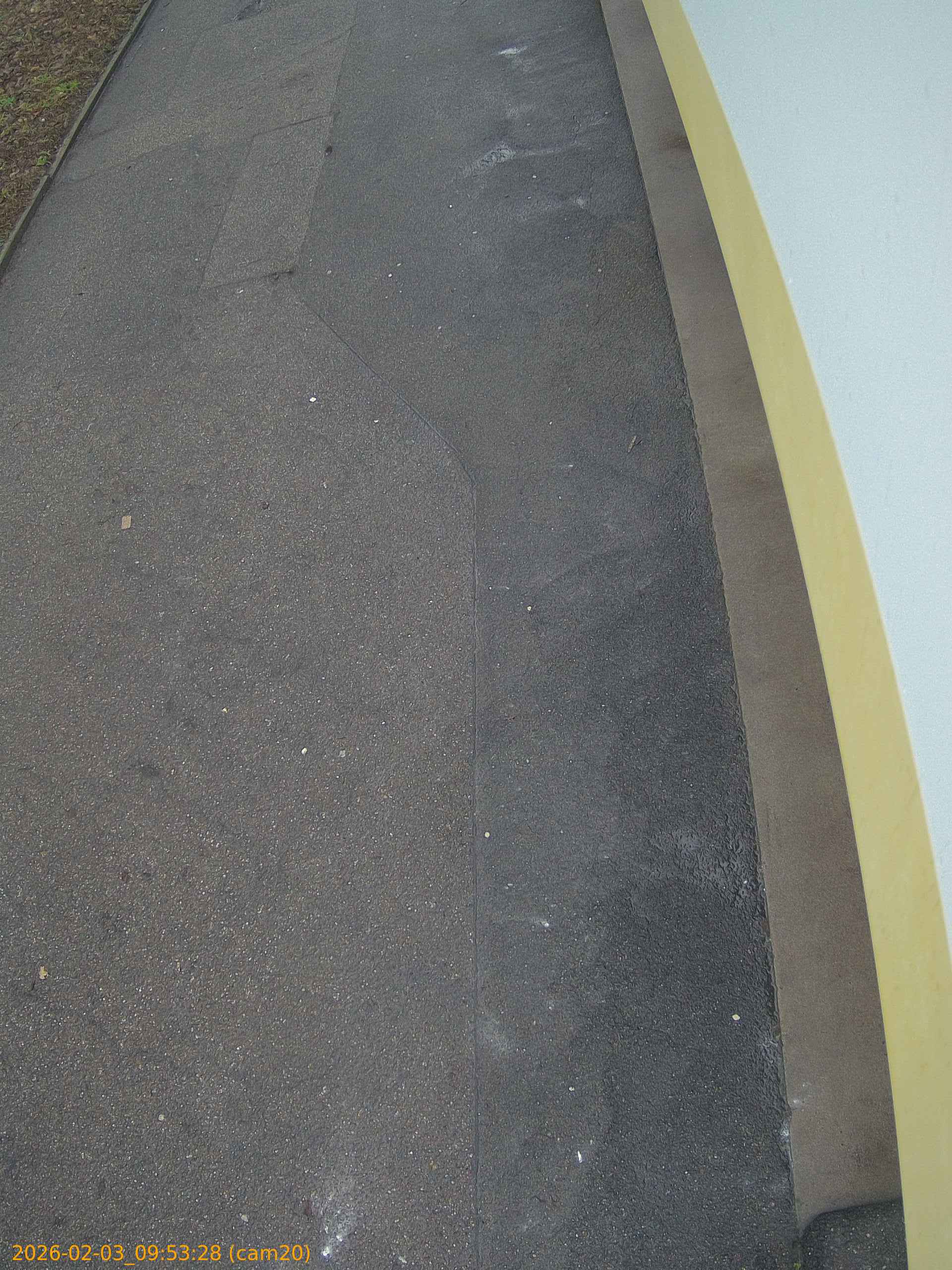 thumbnail_20260203095328