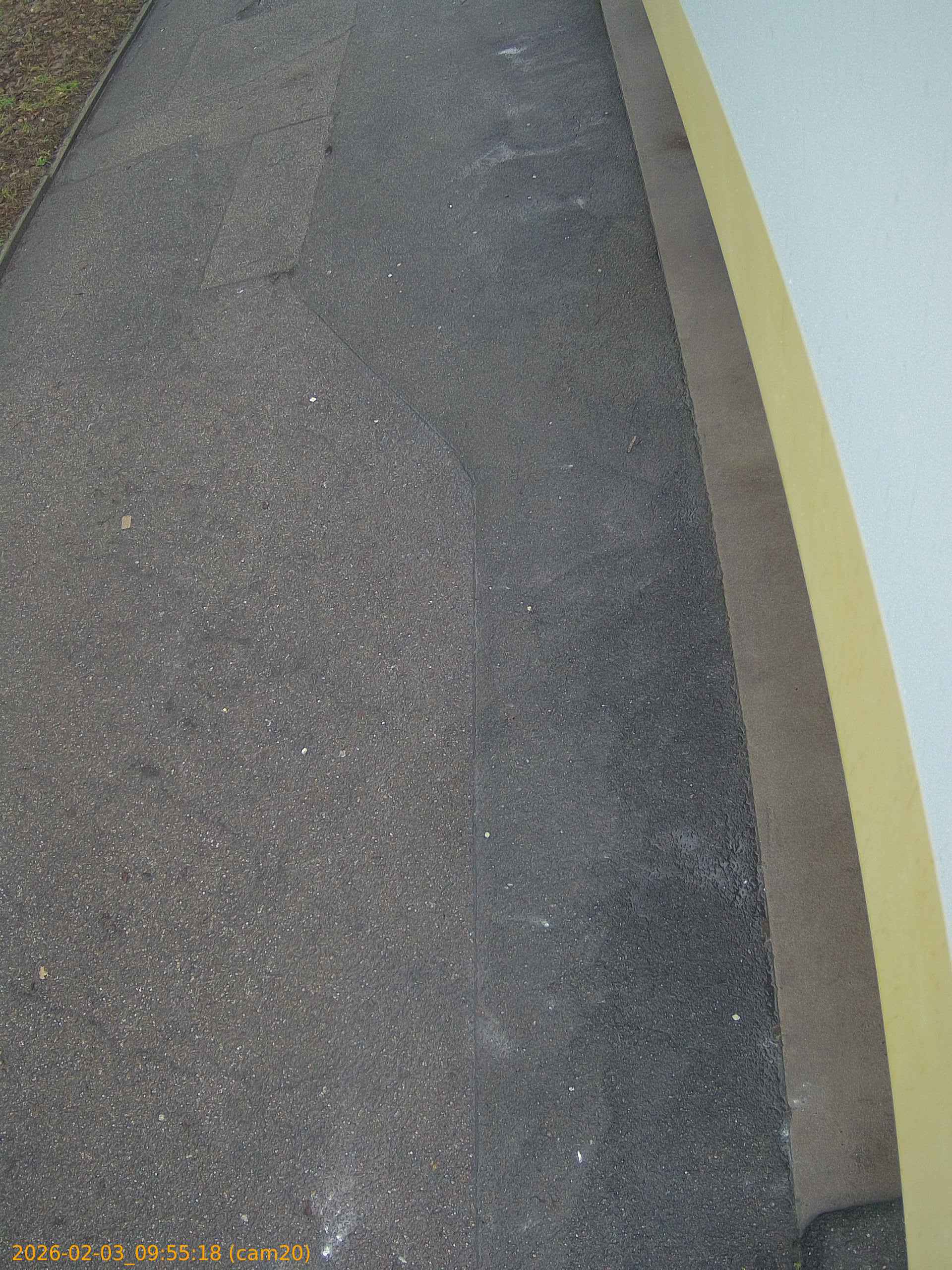 thumbnail_20260203095518