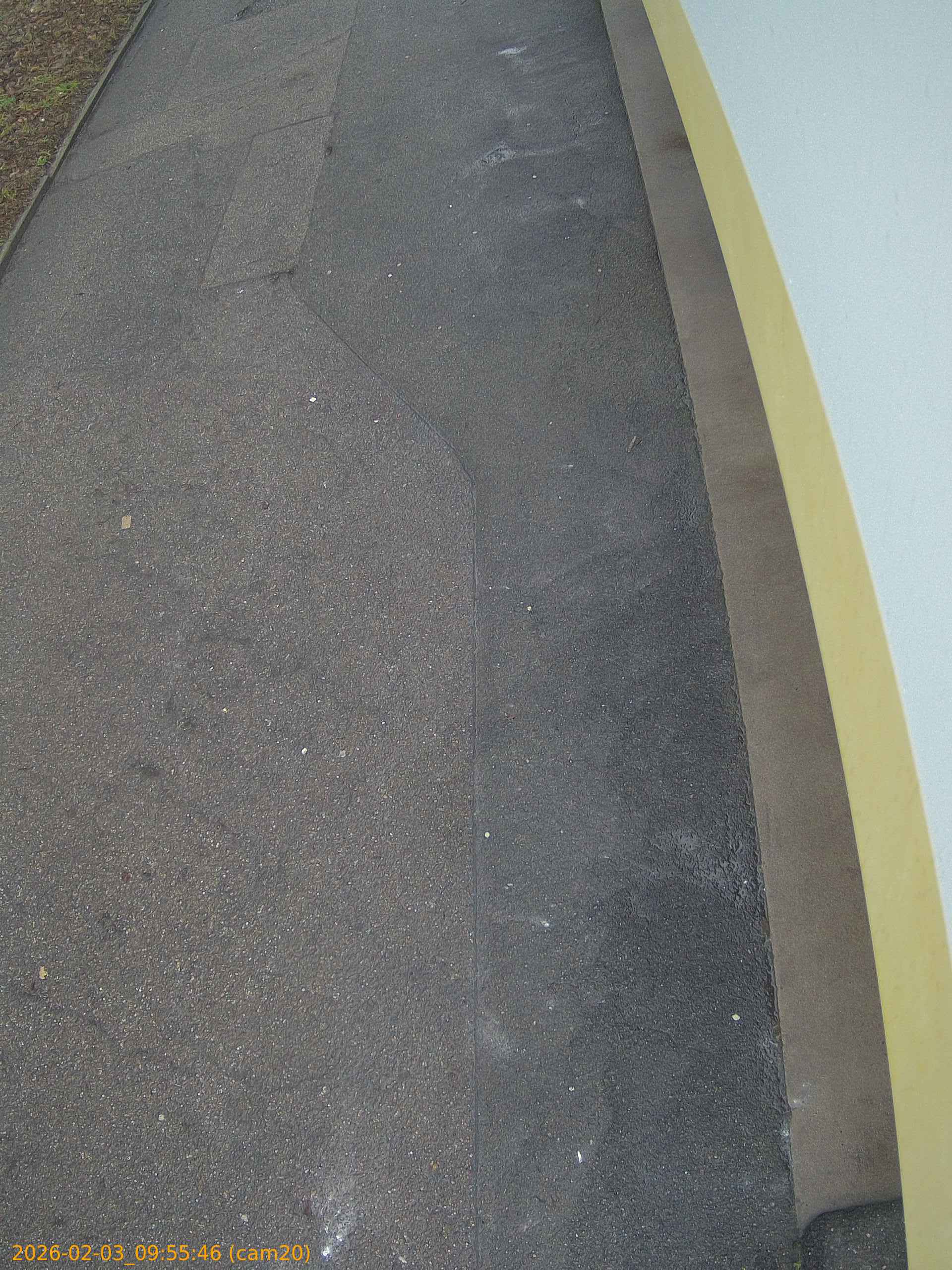 thumbnail_20260203095546