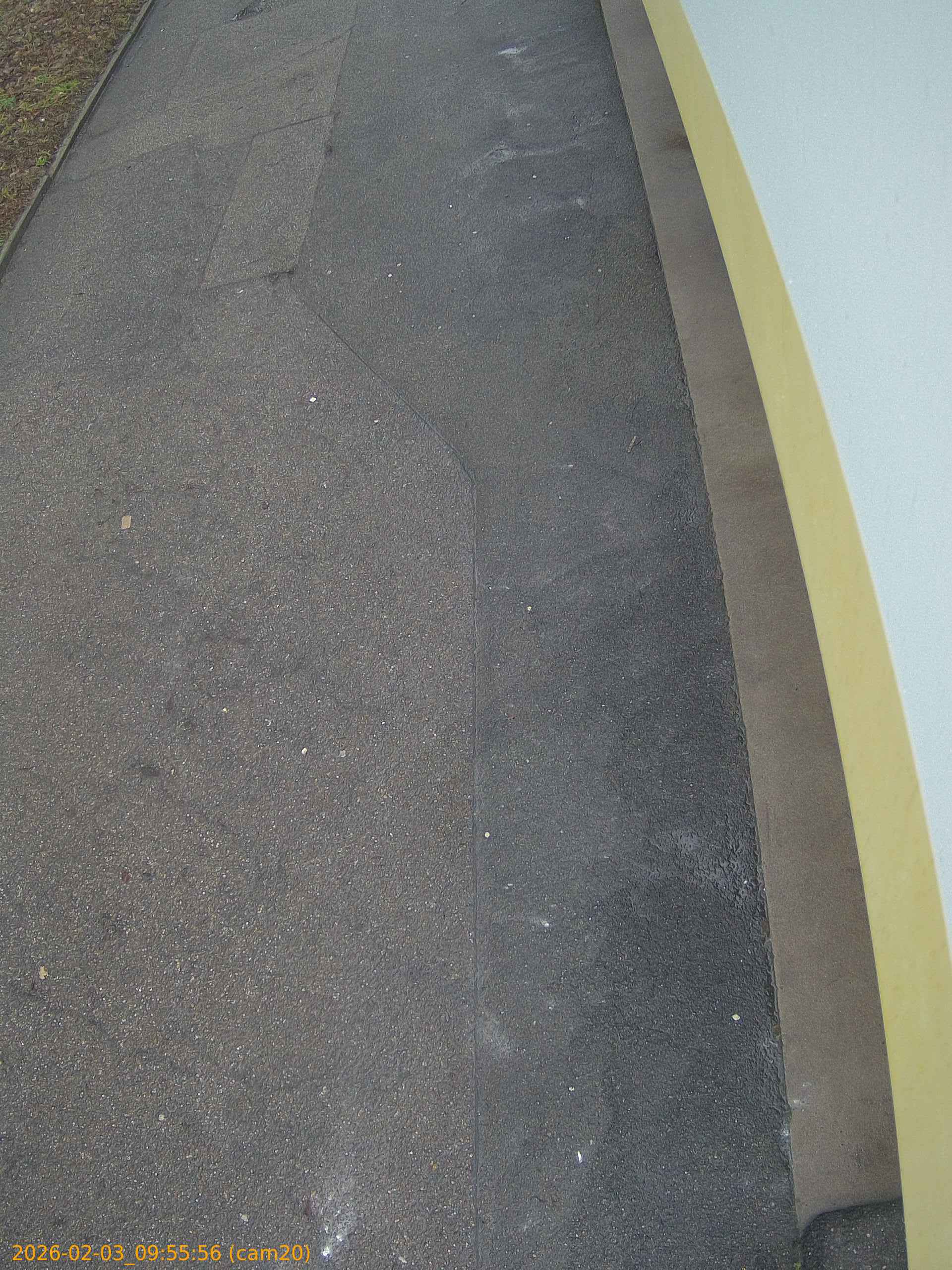 thumbnail_20260203095556