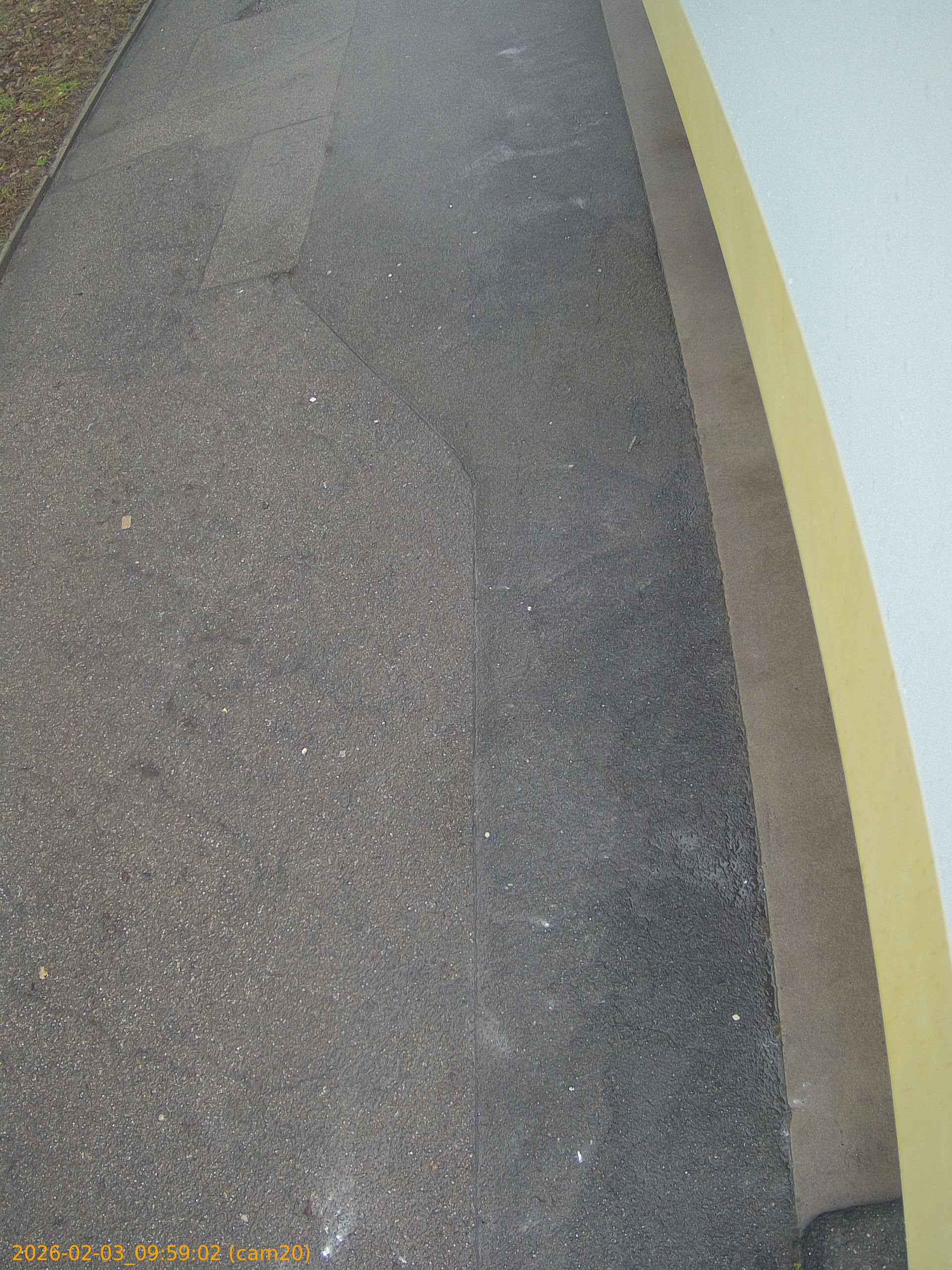 thumbnail_20260203095902