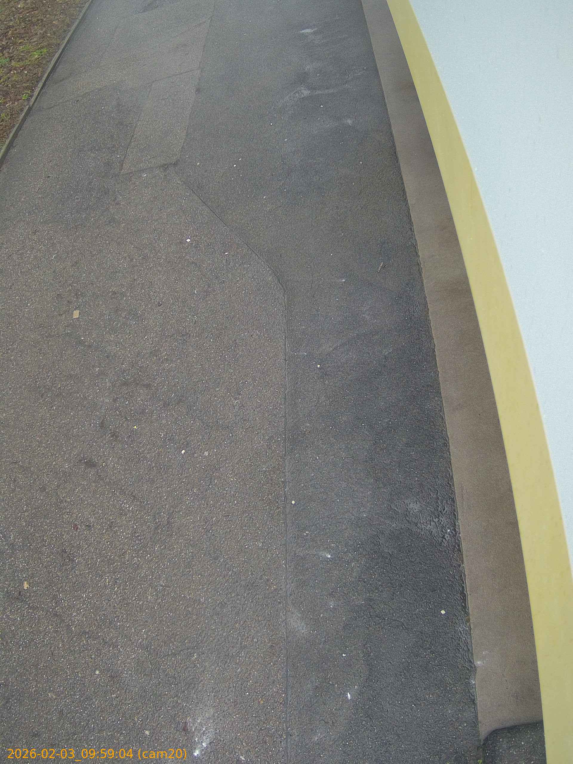 thumbnail_20260203095904