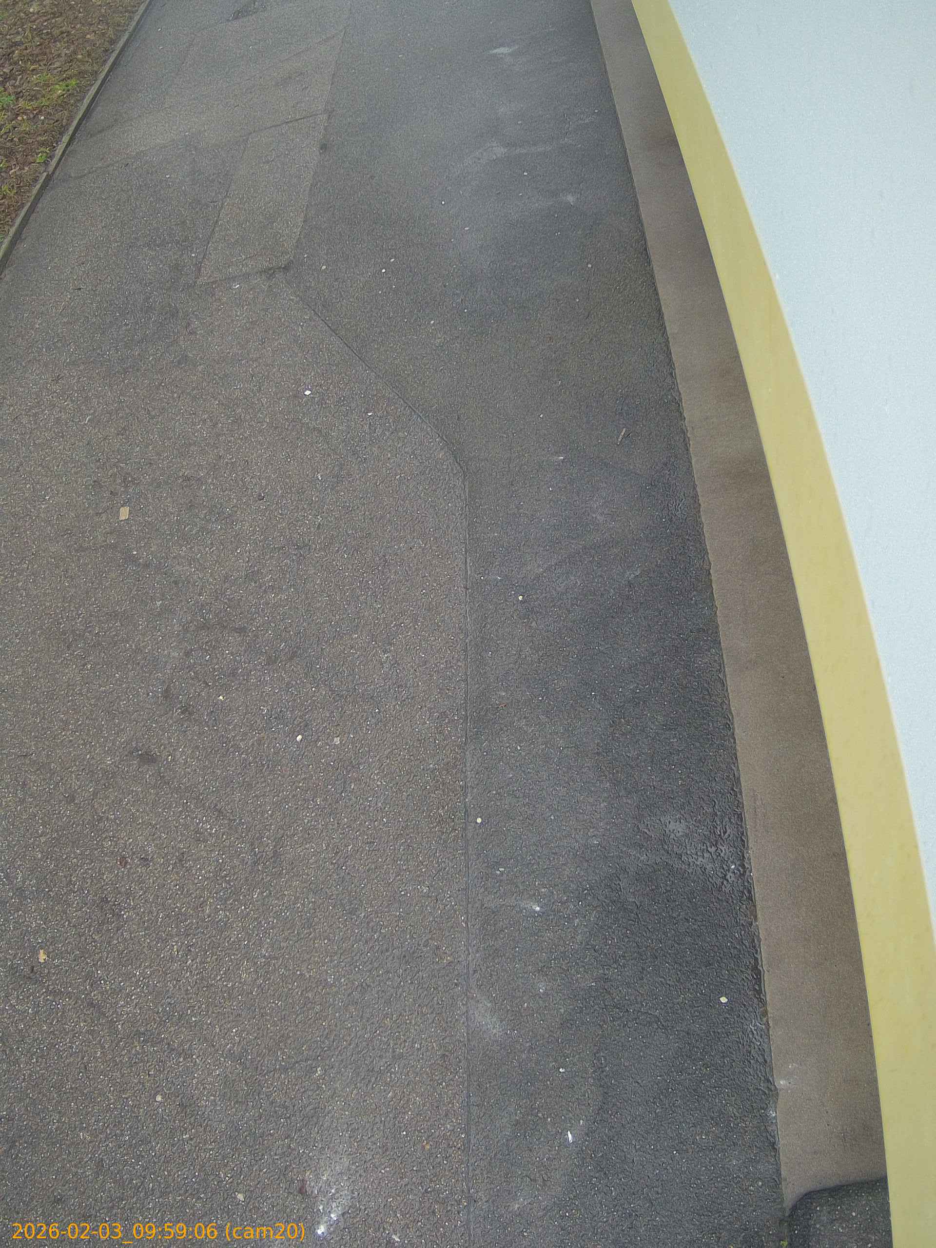 thumbnail_20260203095906