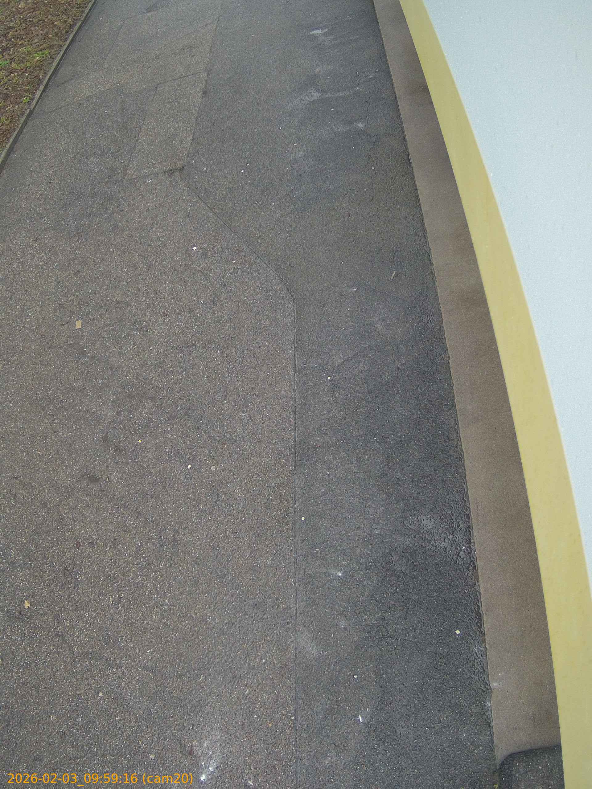 thumbnail_20260203095916