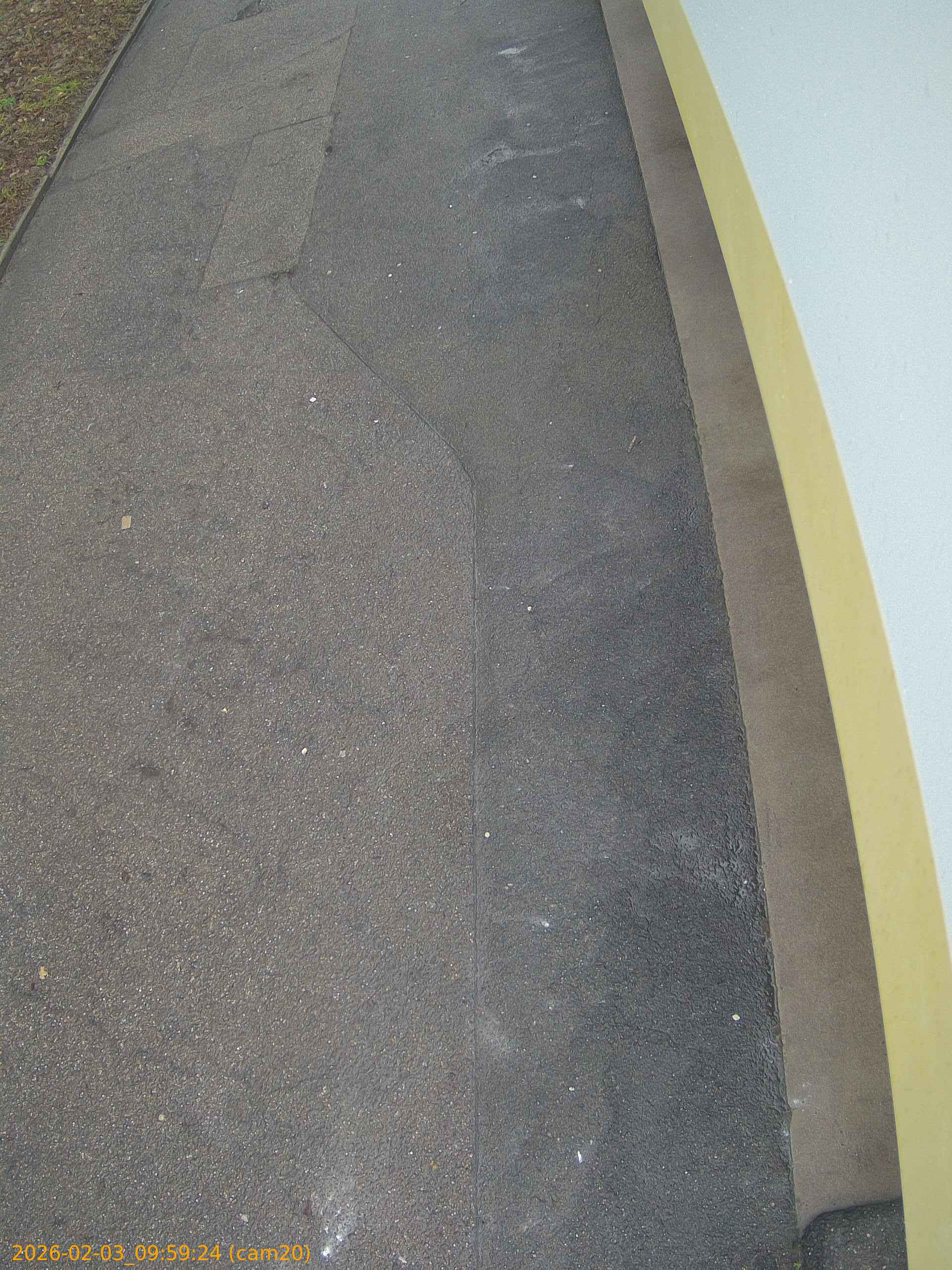 thumbnail_20260203095924