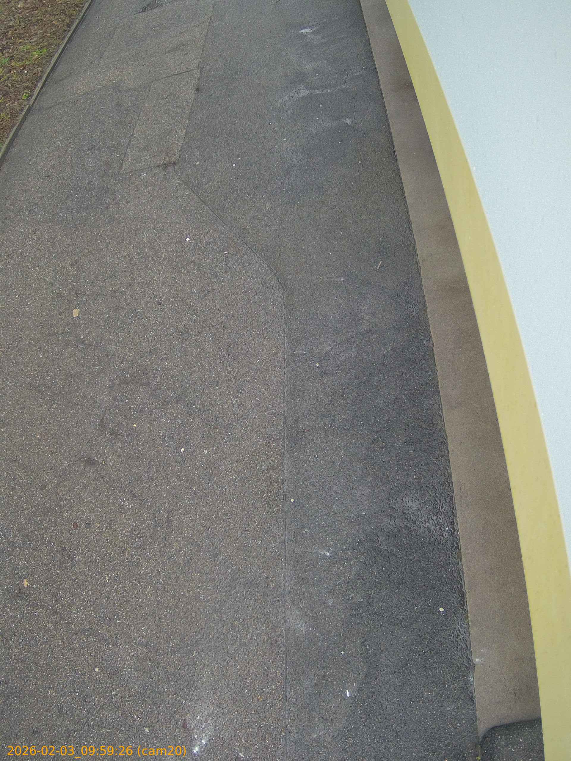 thumbnail_20260203095926