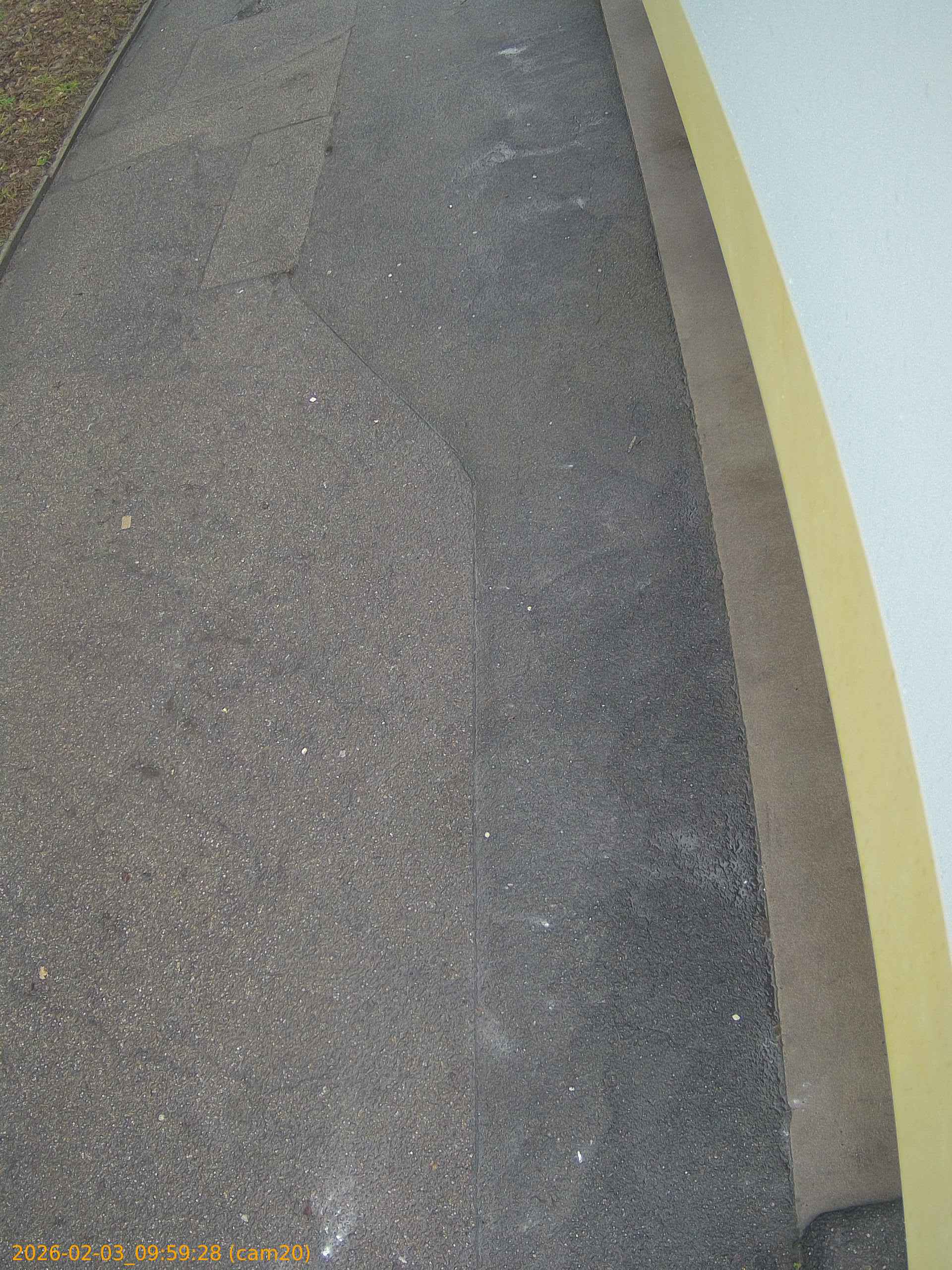 thumbnail_20260203095928