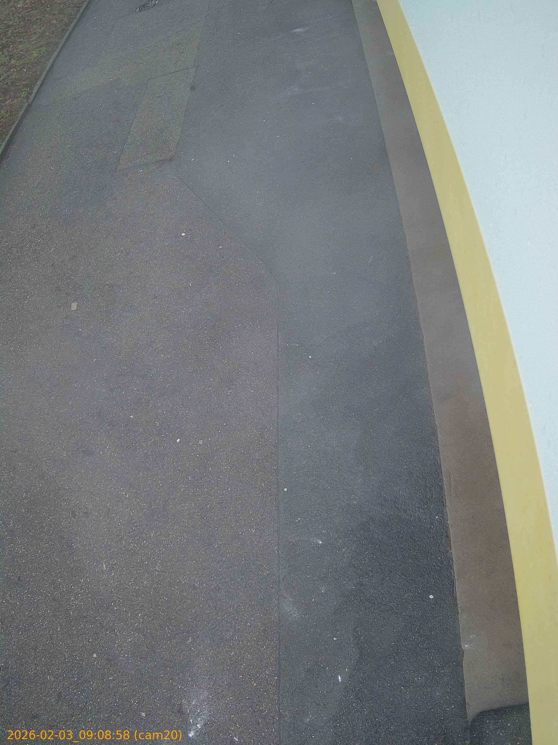 thumbnail_202602030908