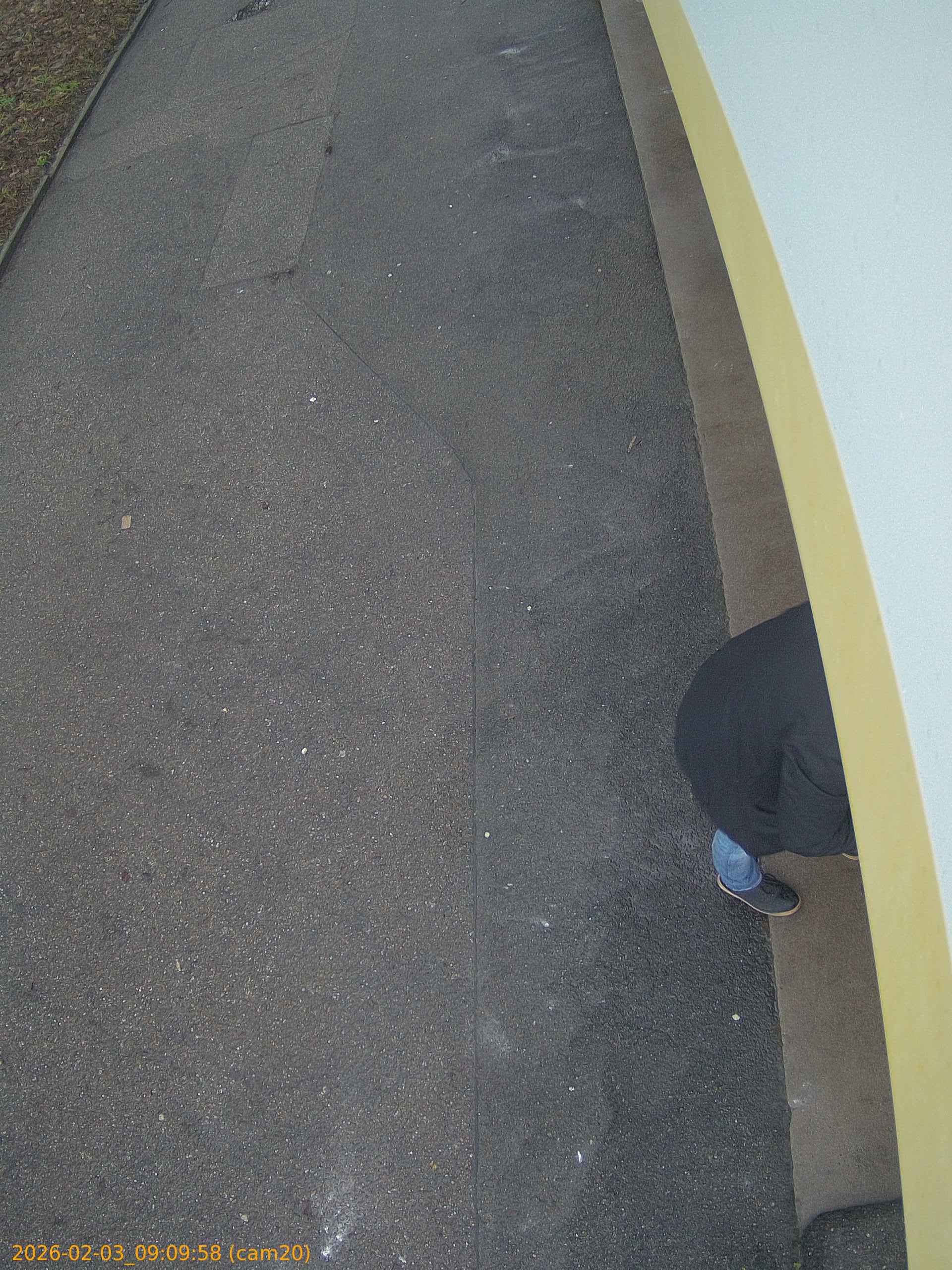 thumbnail_202602030909