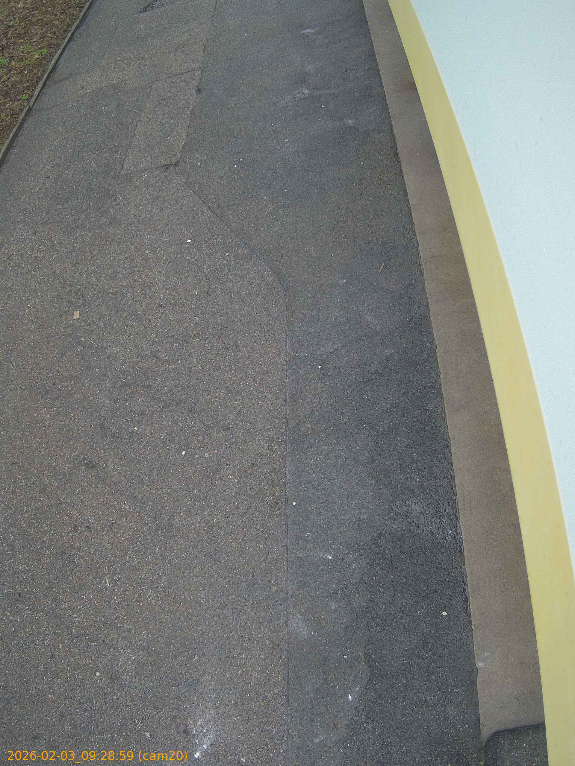 thumbnail_202602030928