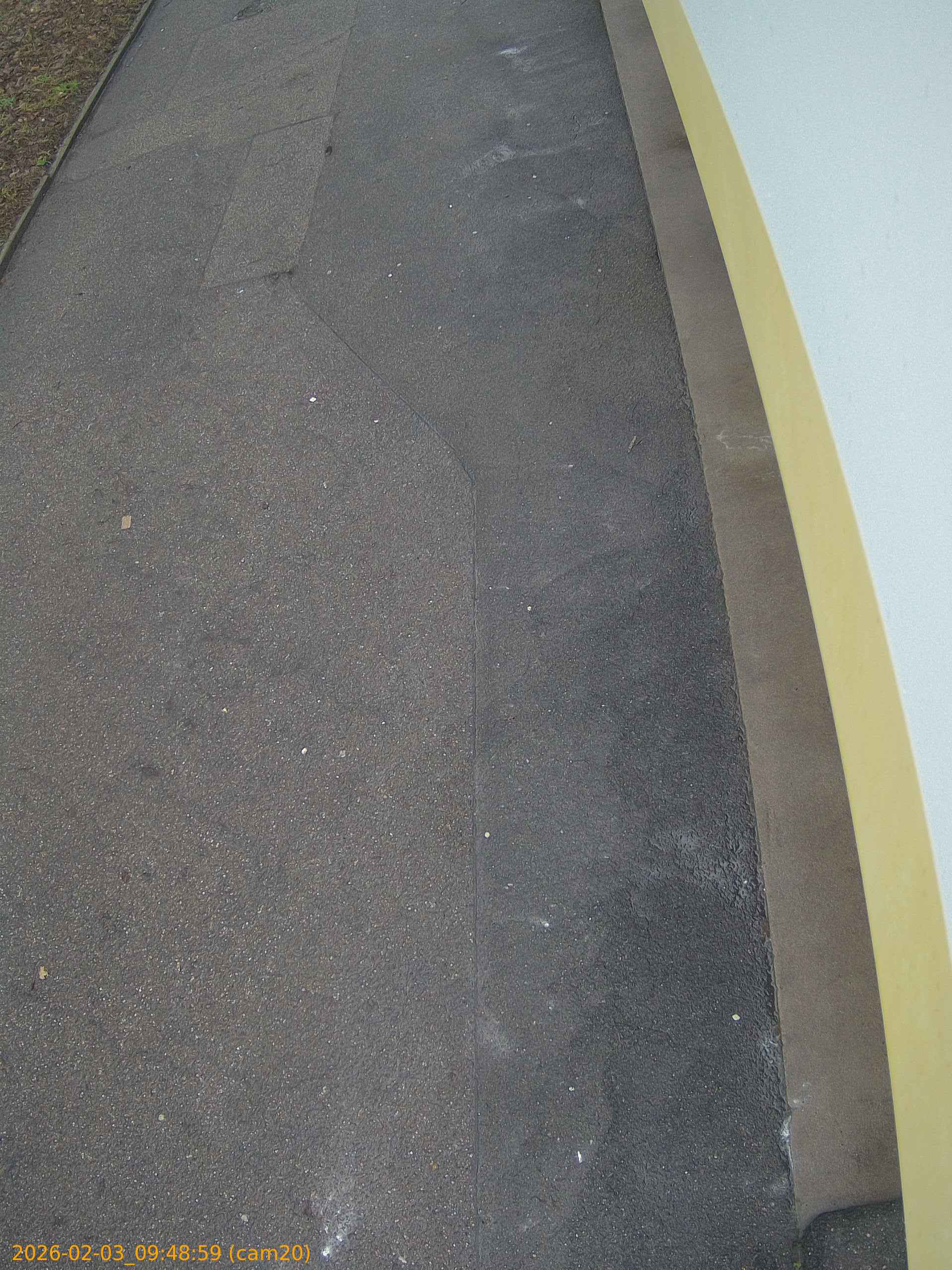 thumbnail_202602030948