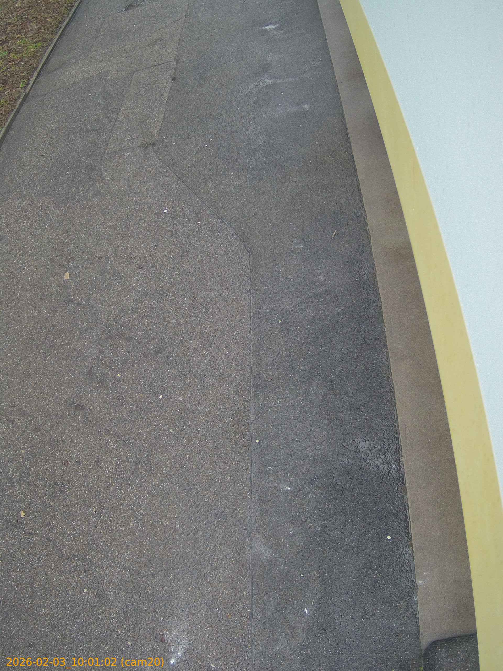 thumbnail_20260203100102