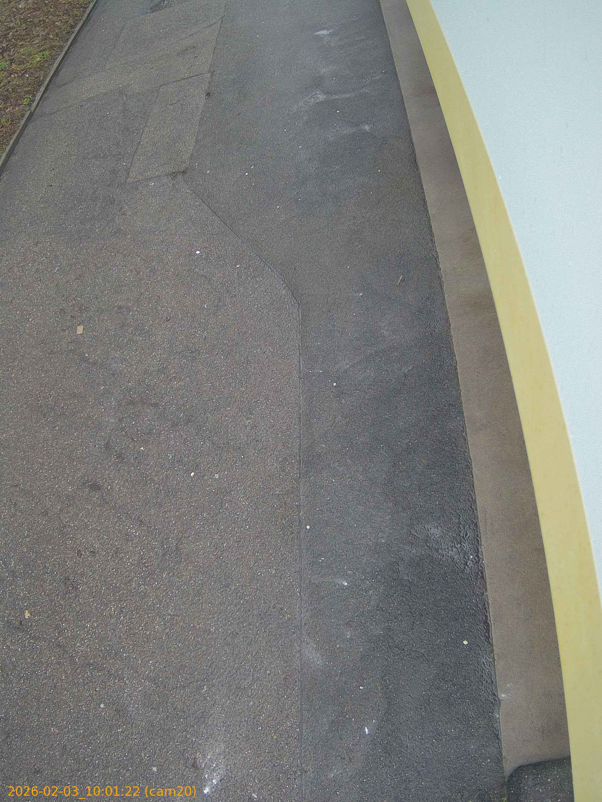 thumbnail_20260203100122