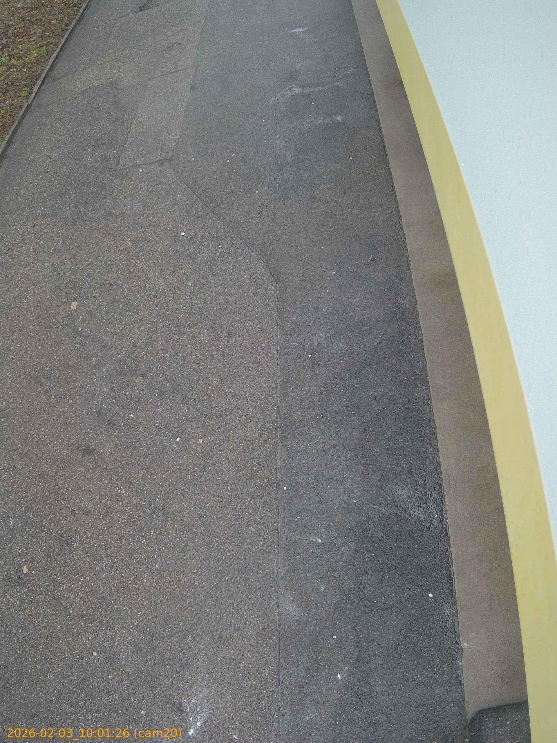 thumbnail_20260203100126