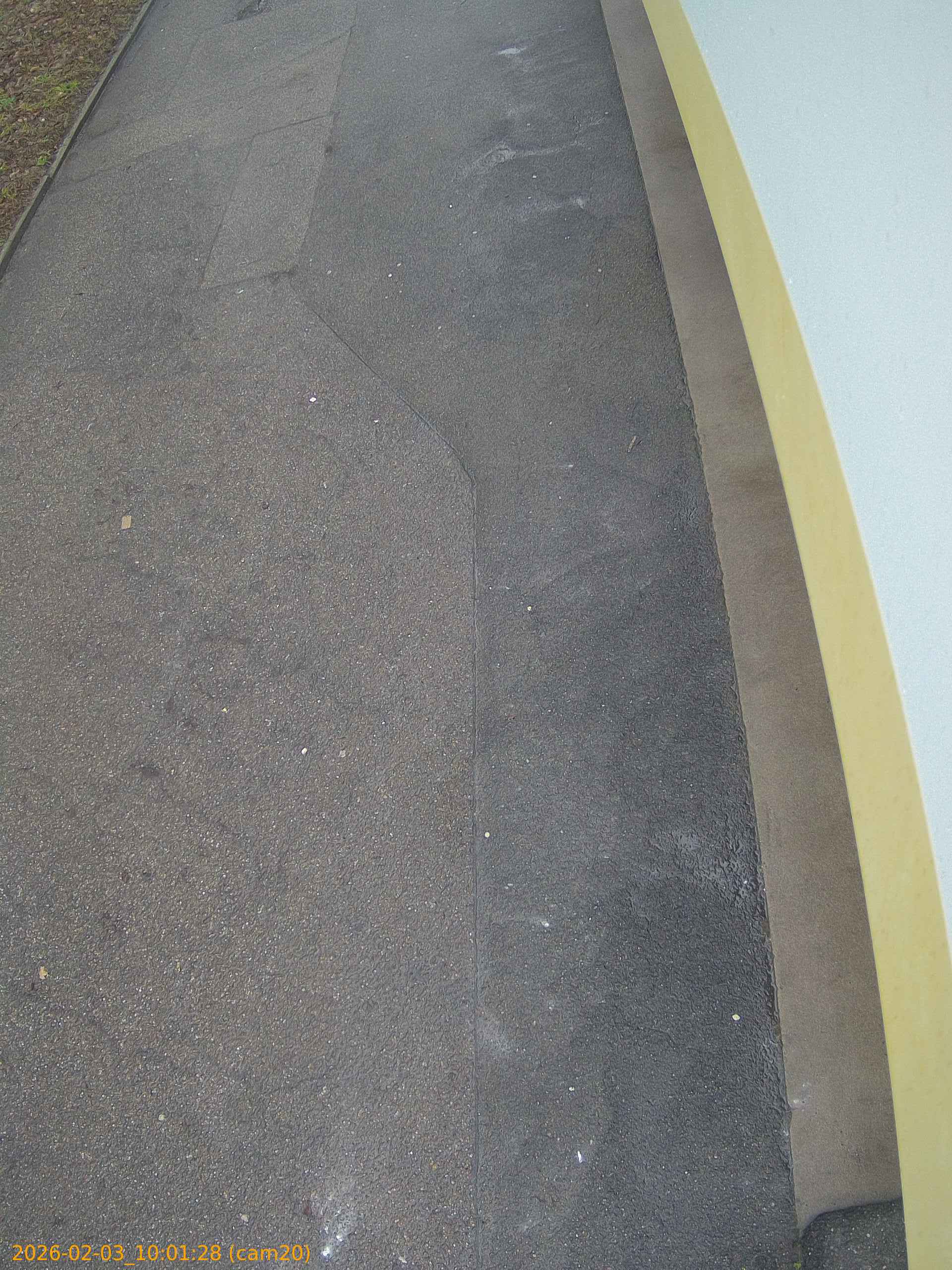 thumbnail_20260203100128