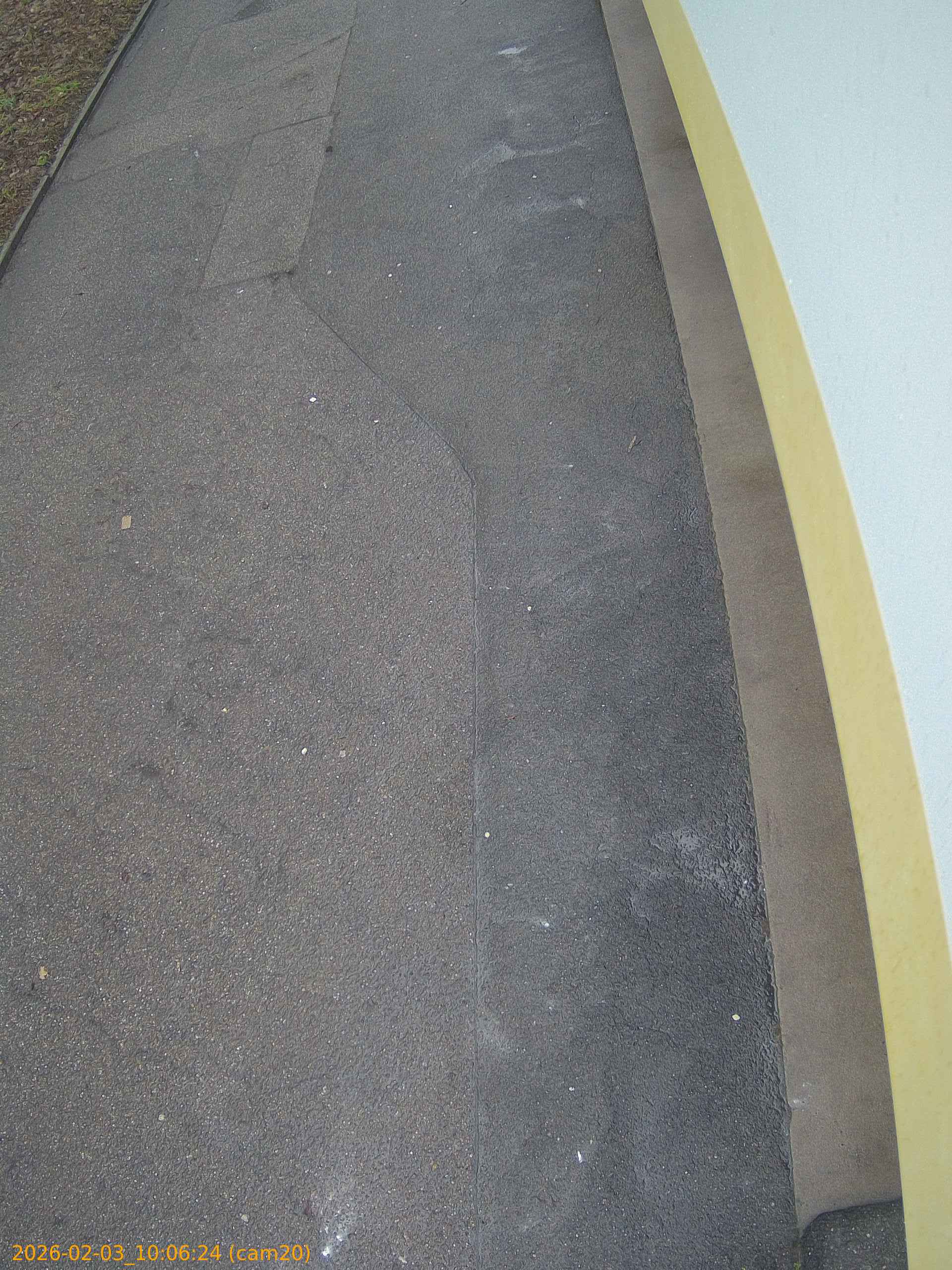 thumbnail_20260203100624