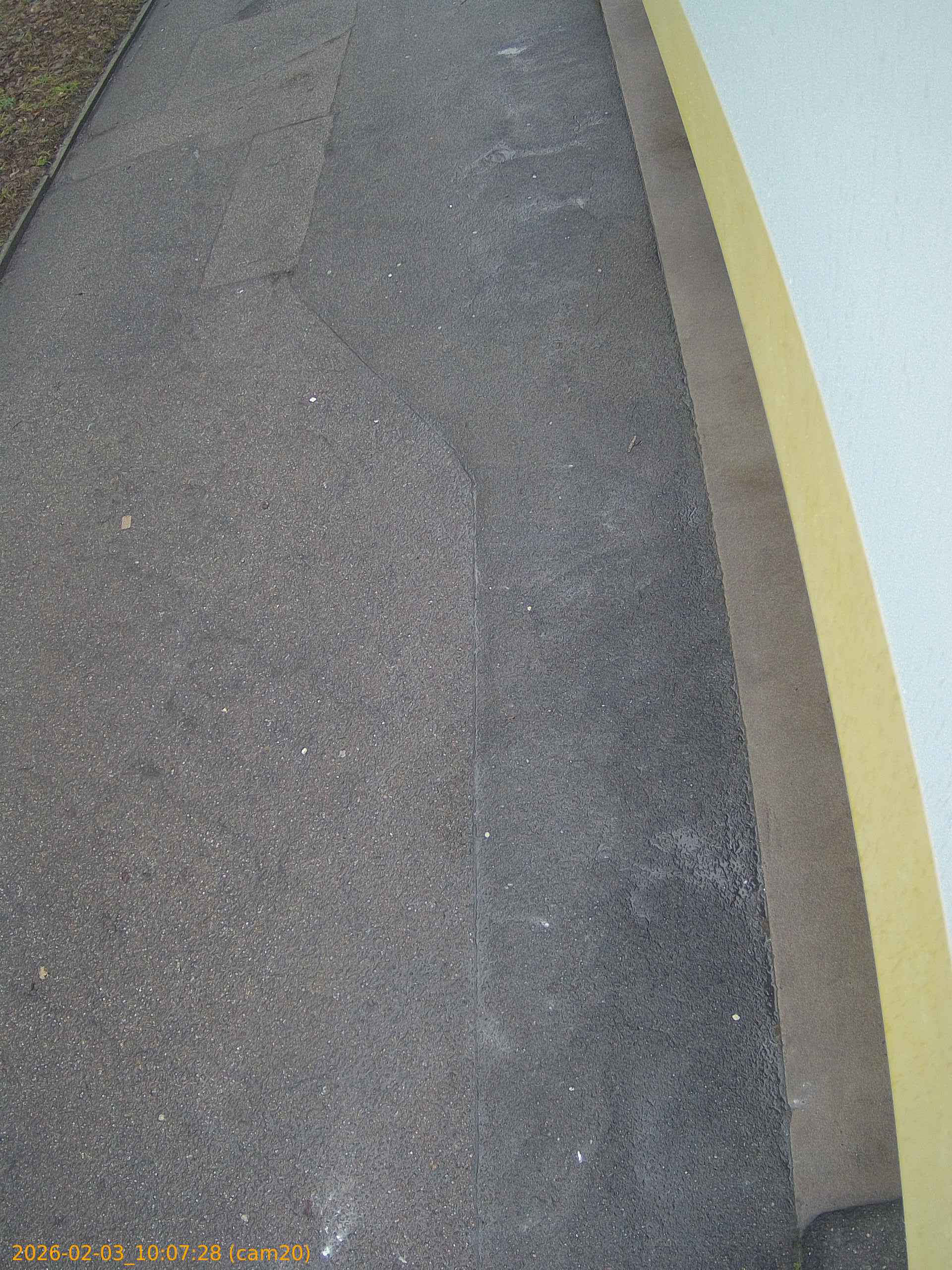 thumbnail_20260203100728