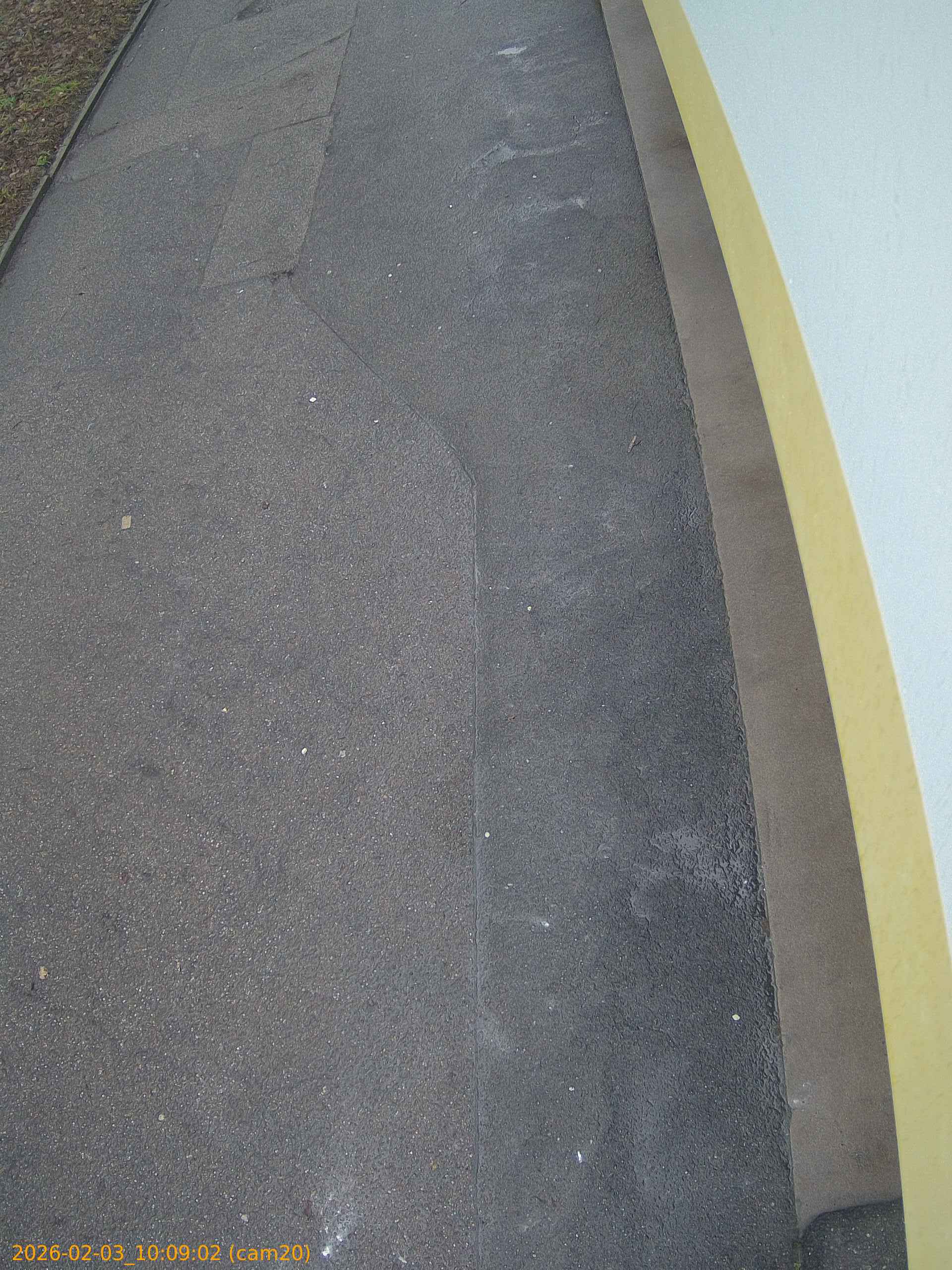 thumbnail_20260203100902