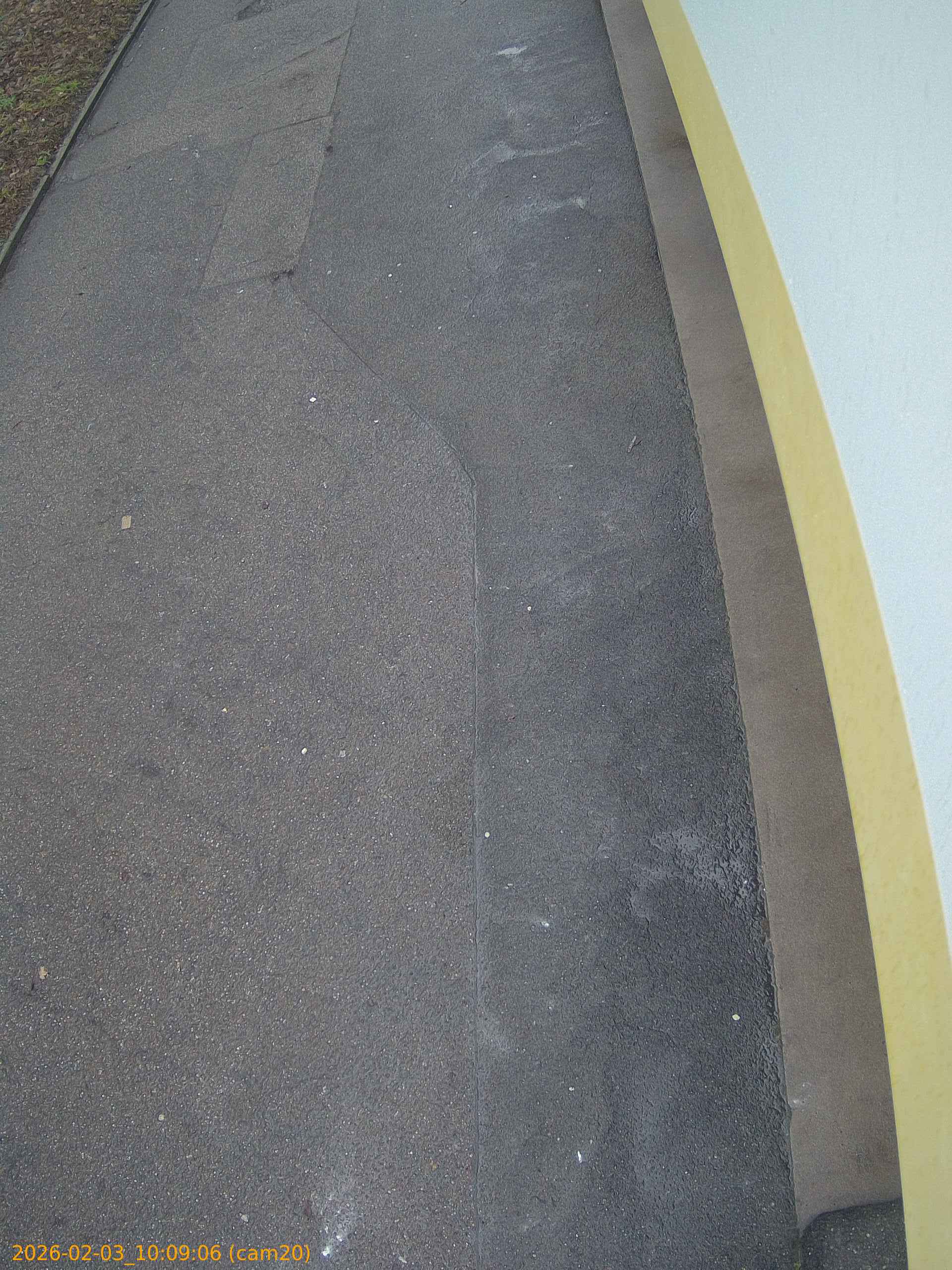 thumbnail_20260203100906