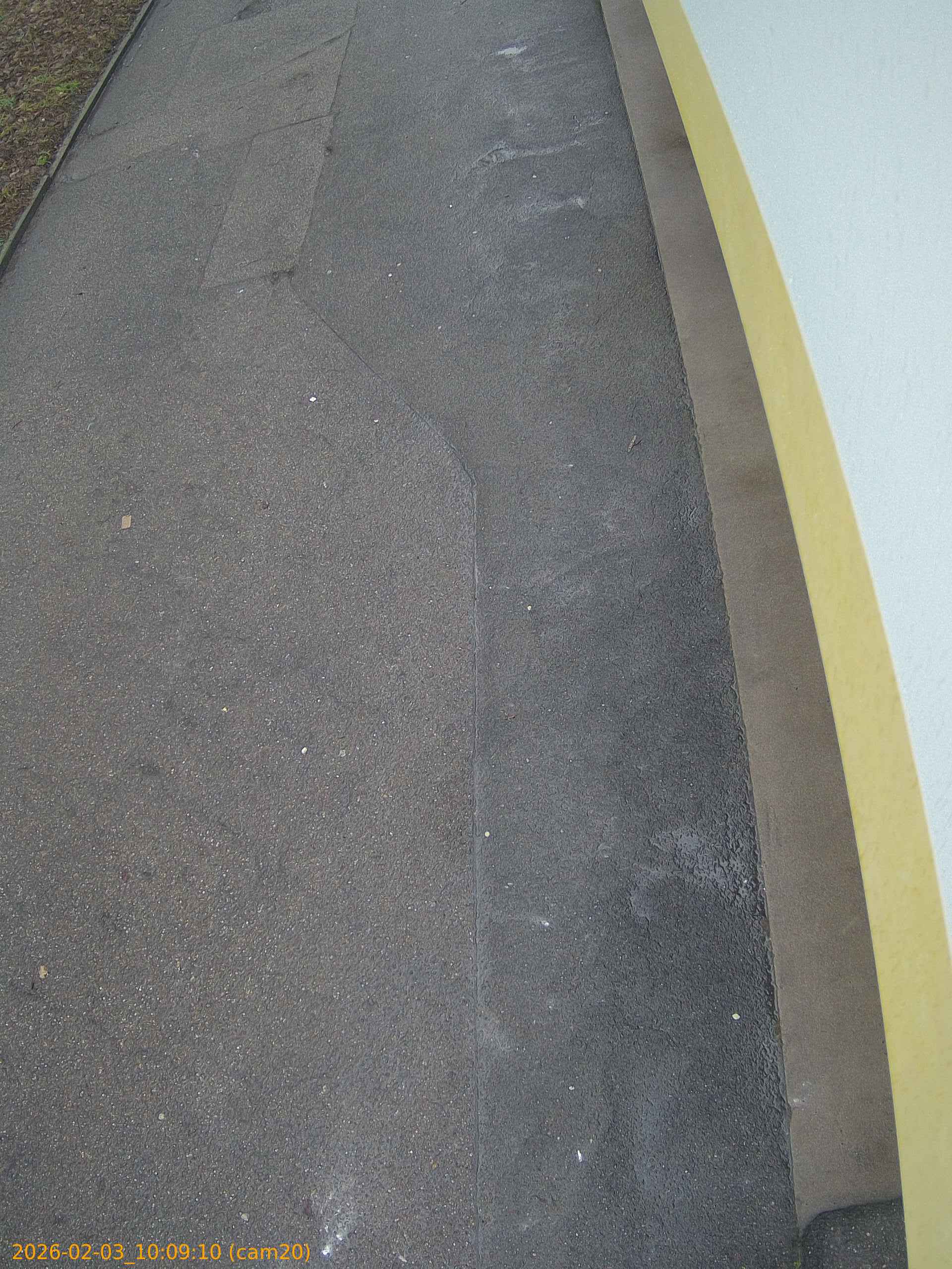 thumbnail_20260203100910