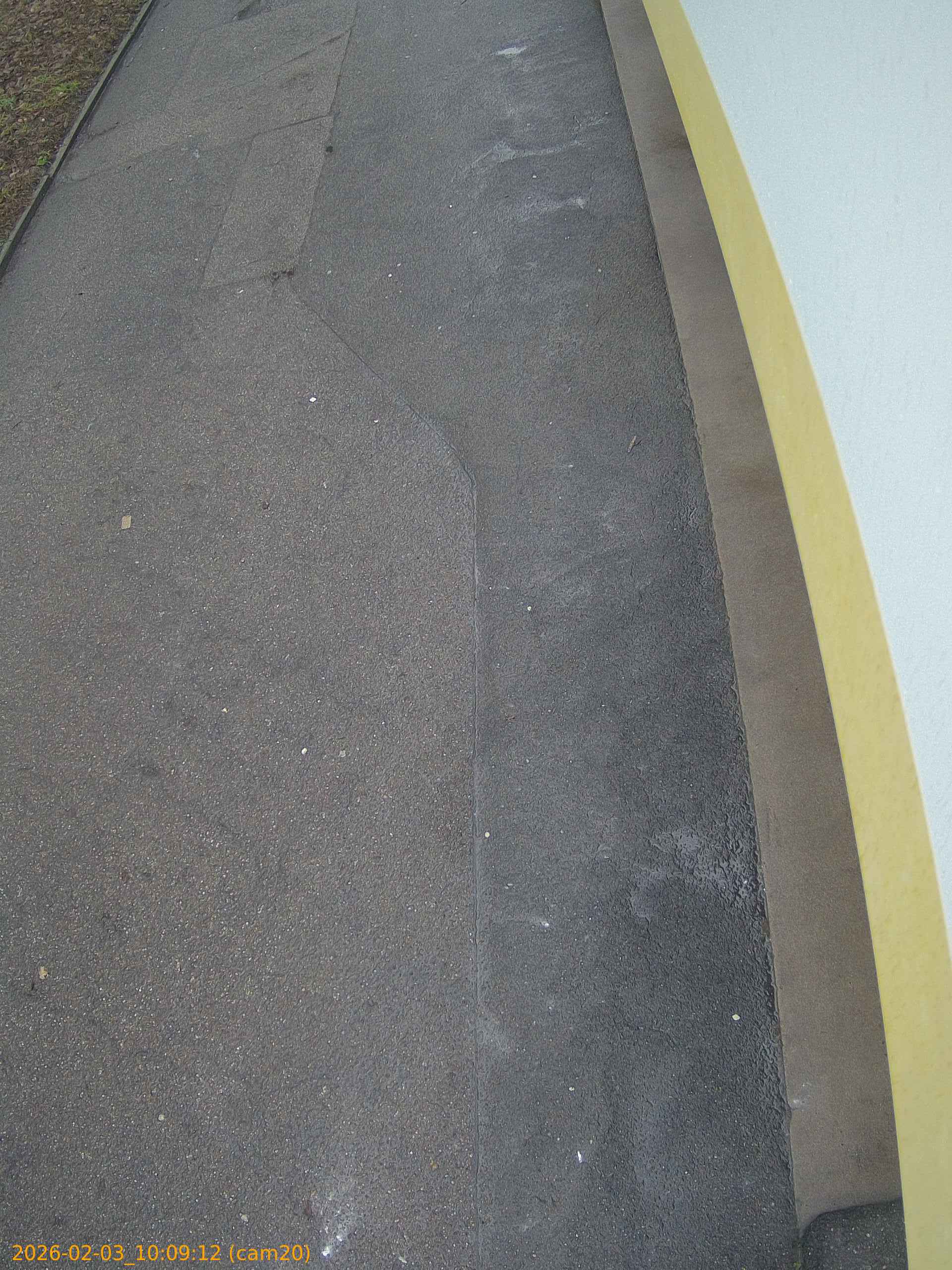 thumbnail_20260203100912