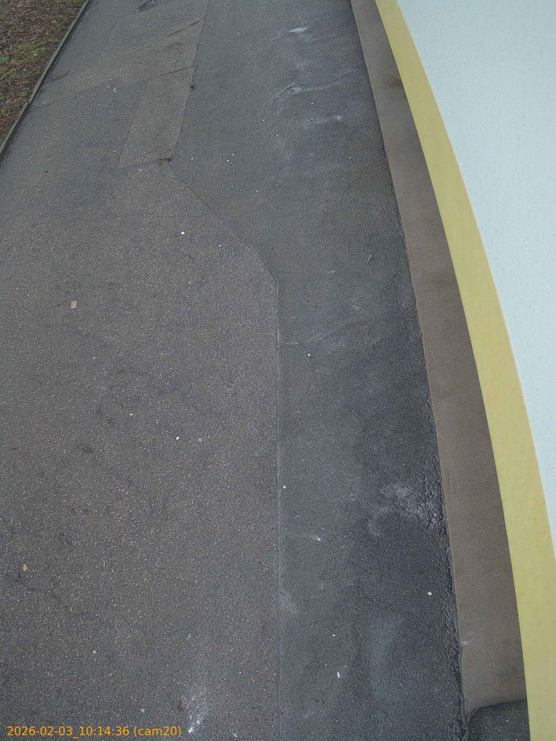 thumbnail_20260203101436