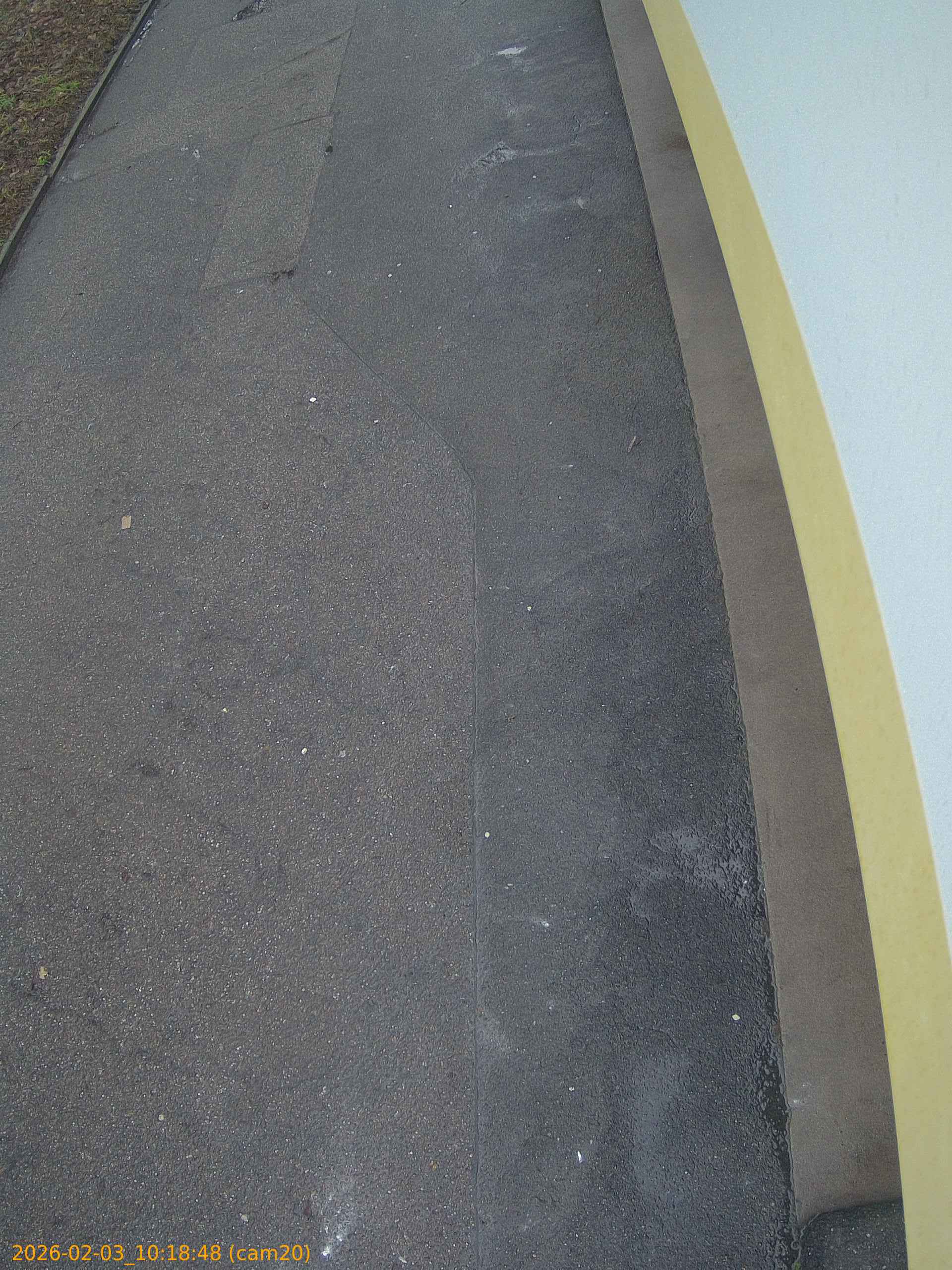 thumbnail_20260203101848