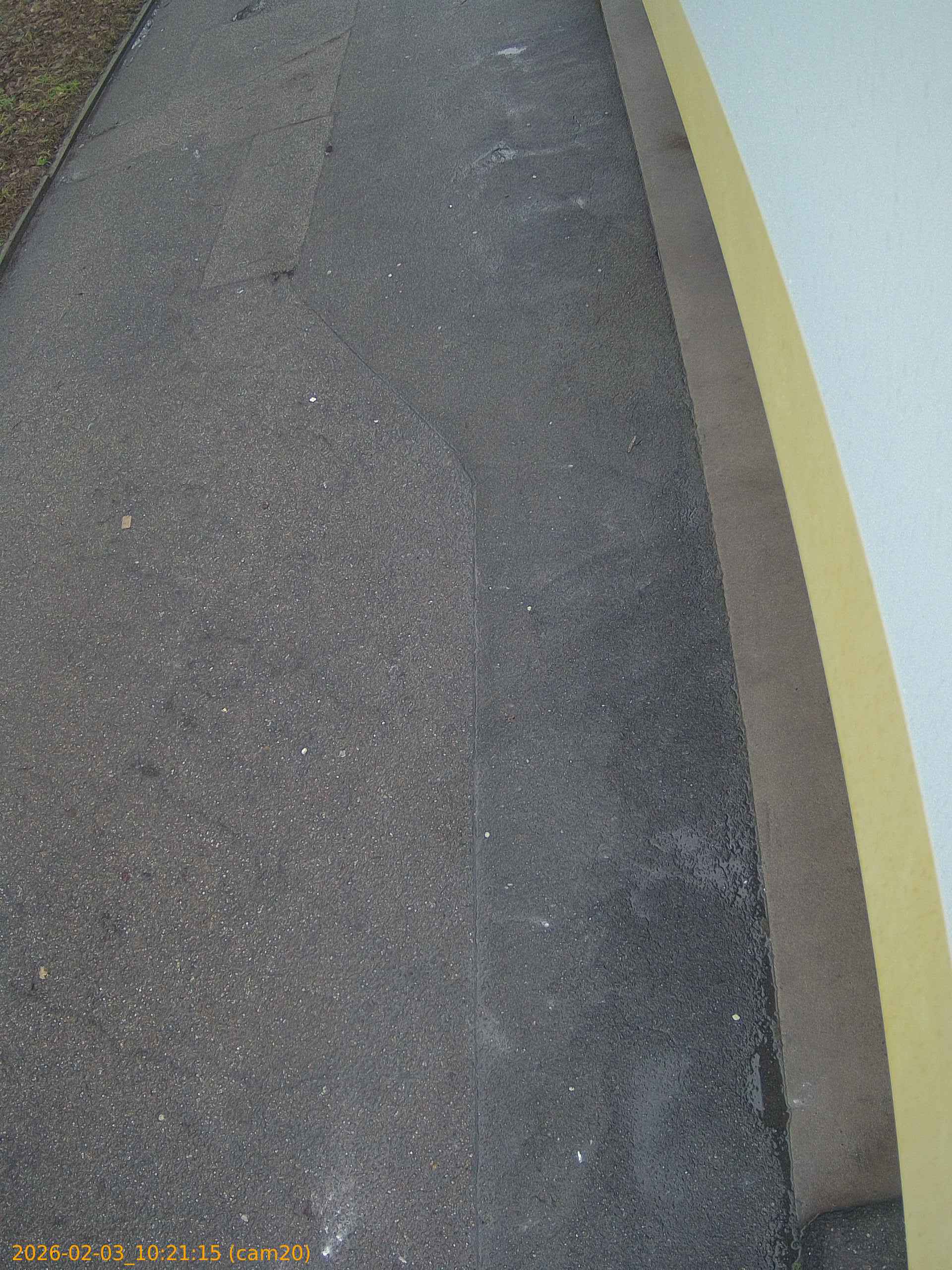 thumbnail_20260203102115