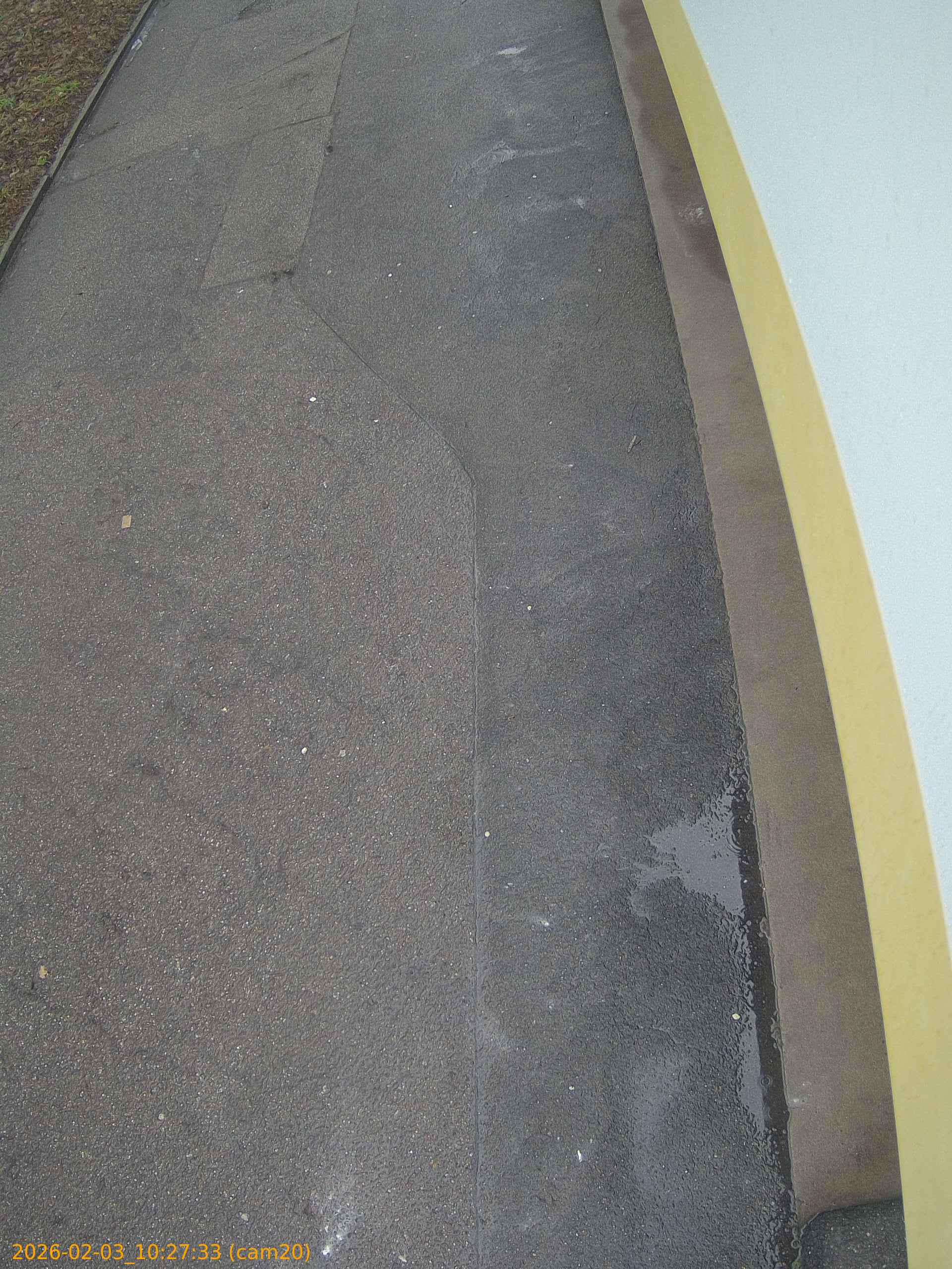 thumbnail_20260203102733