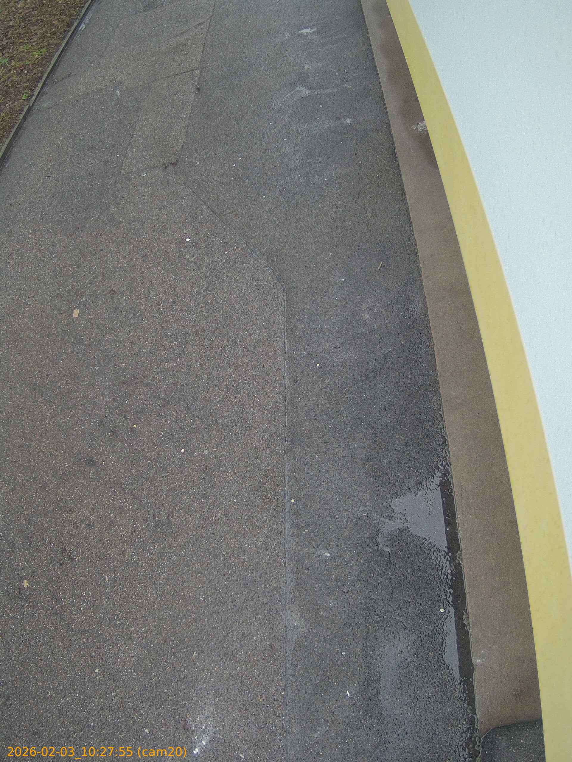 thumbnail_20260203102755