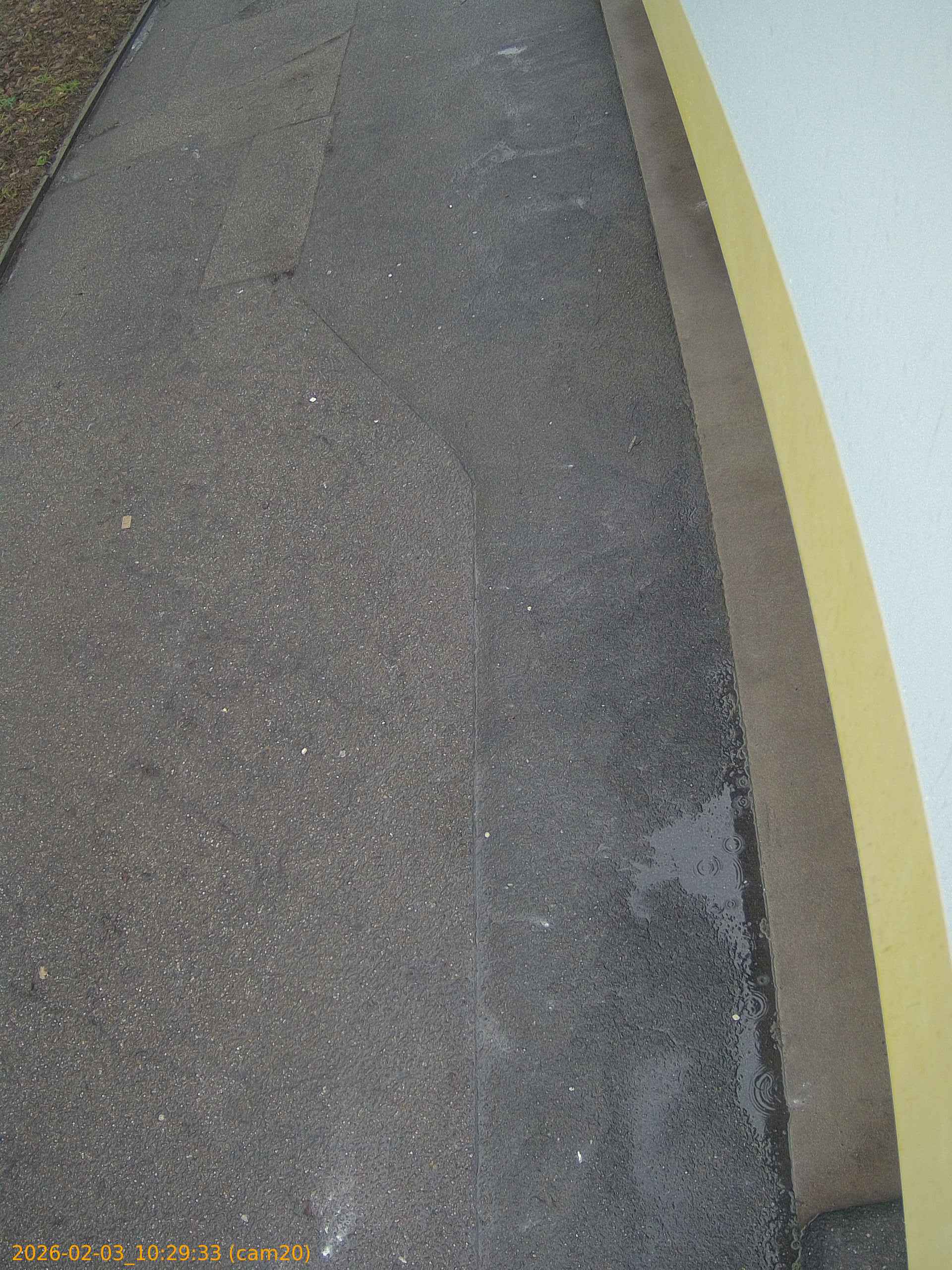 thumbnail_20260203102933