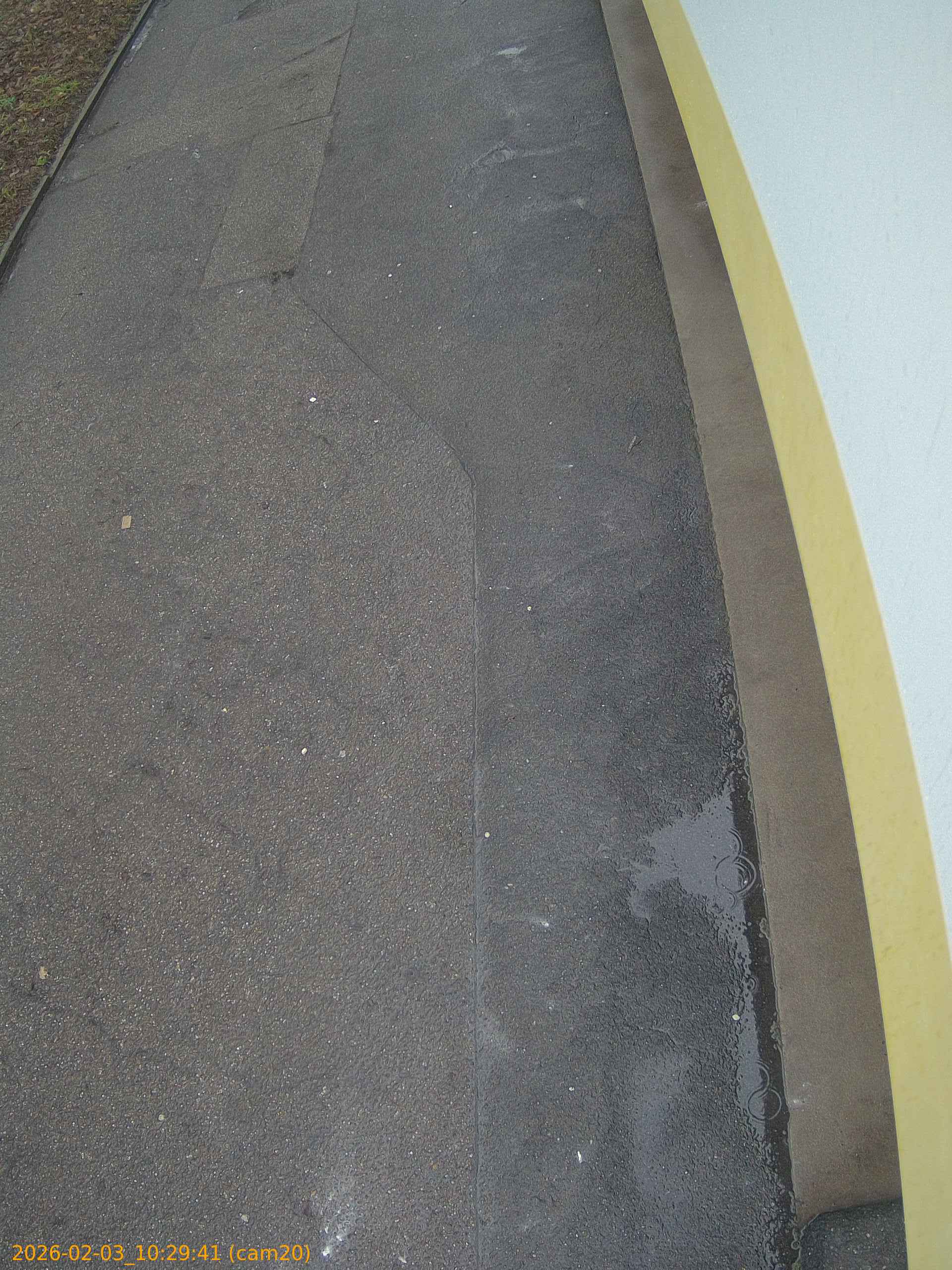 thumbnail_20260203102941