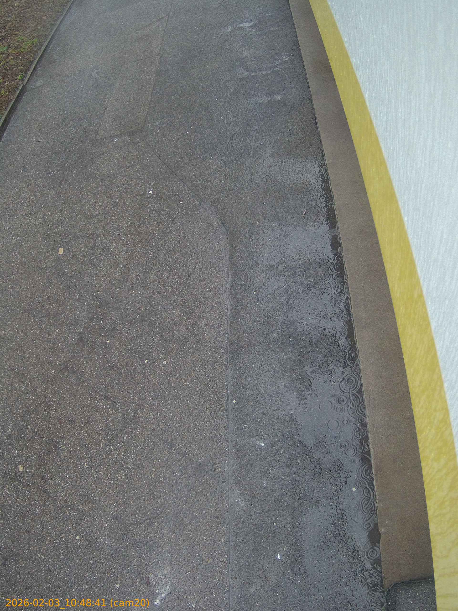 thumbnail_20260203104841