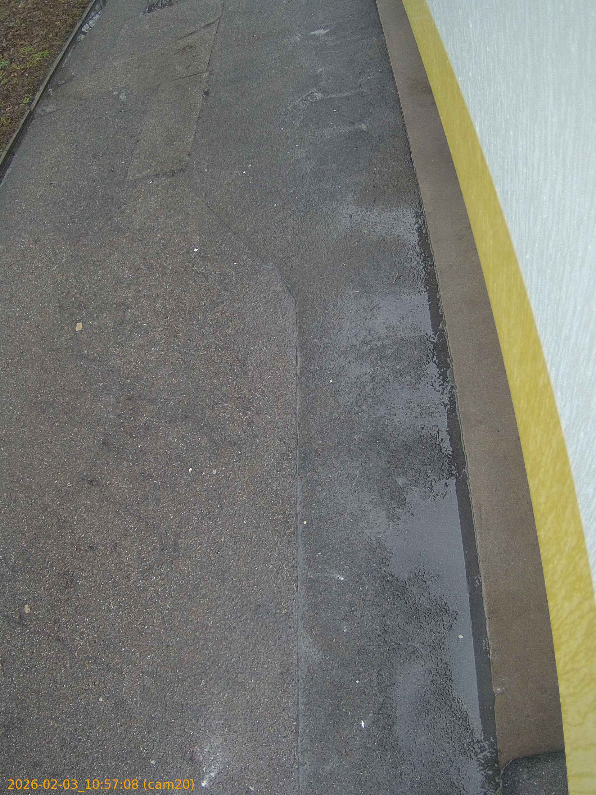 thumbnail_20260203105708