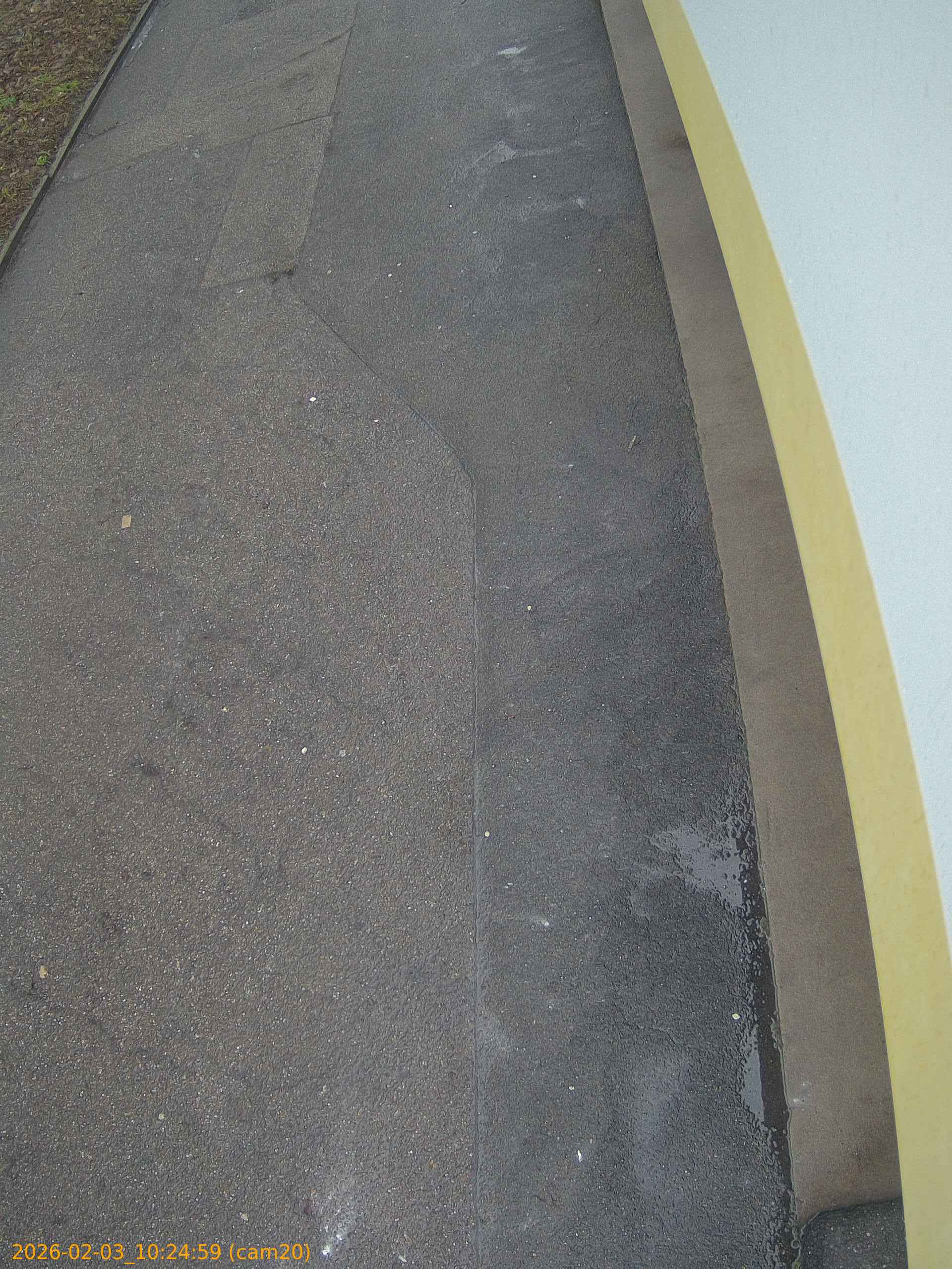 thumbnail_202602031024