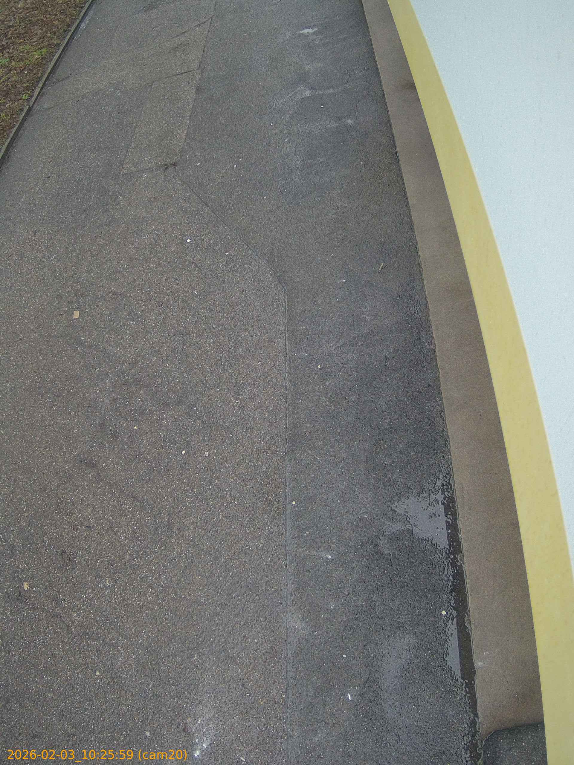 thumbnail_202602031025