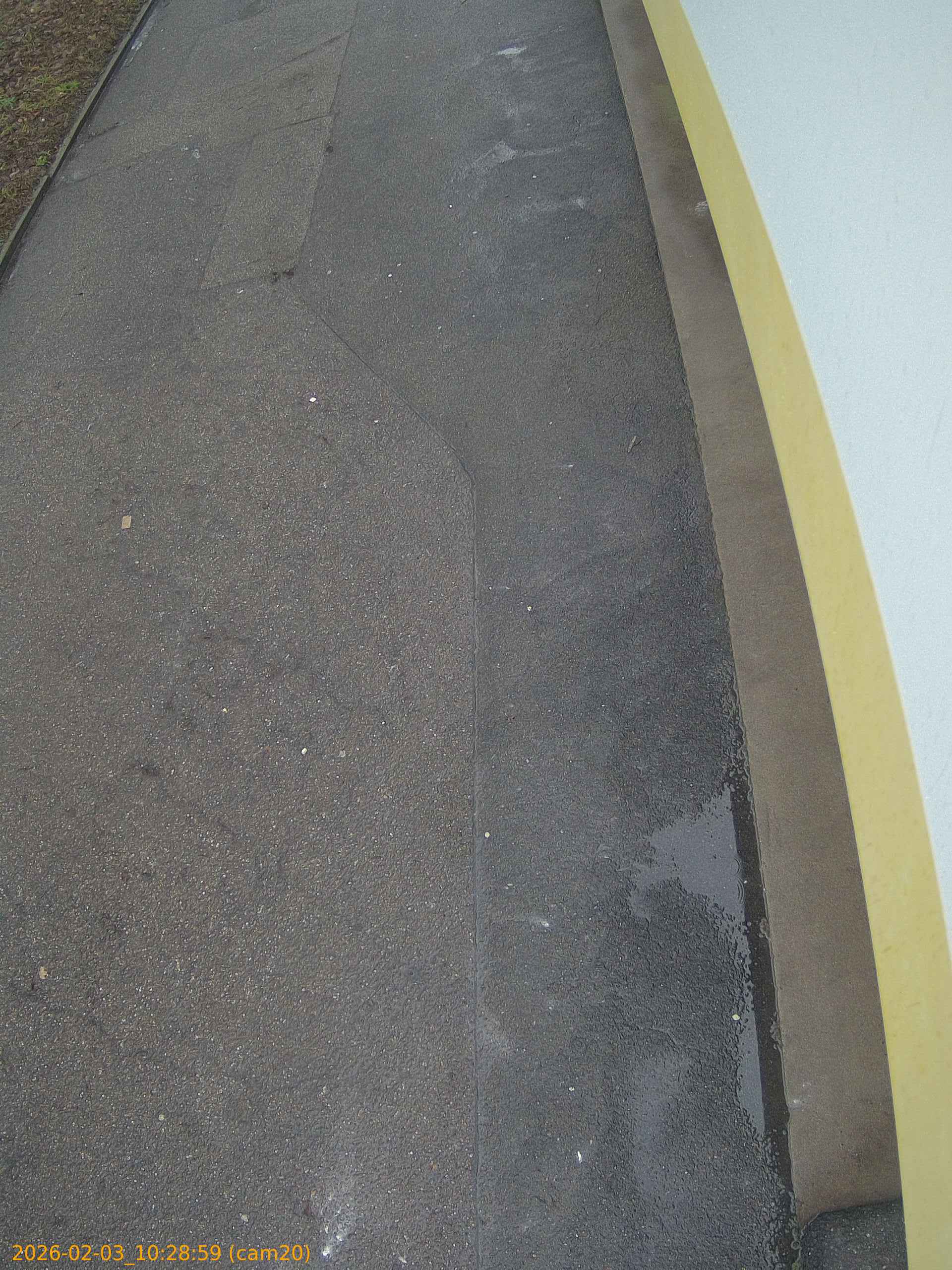 thumbnail_202602031028