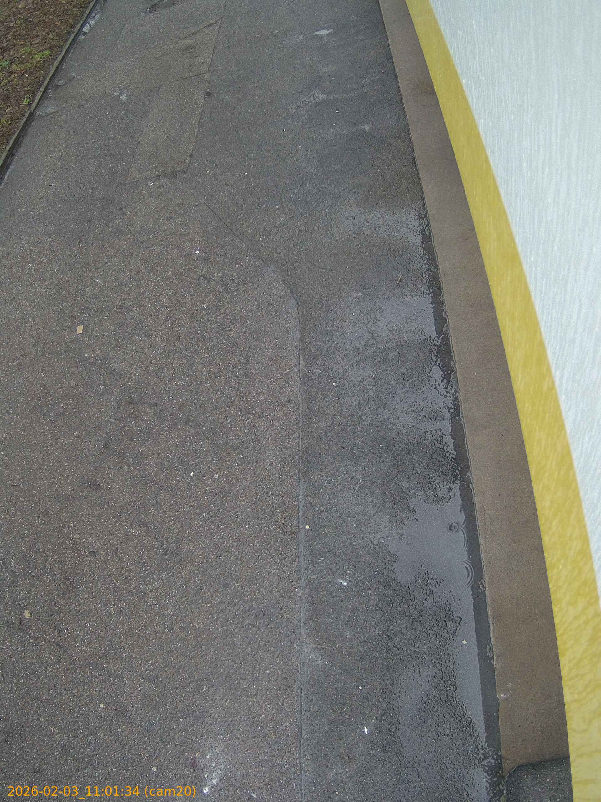 thumbnail_20260203110134