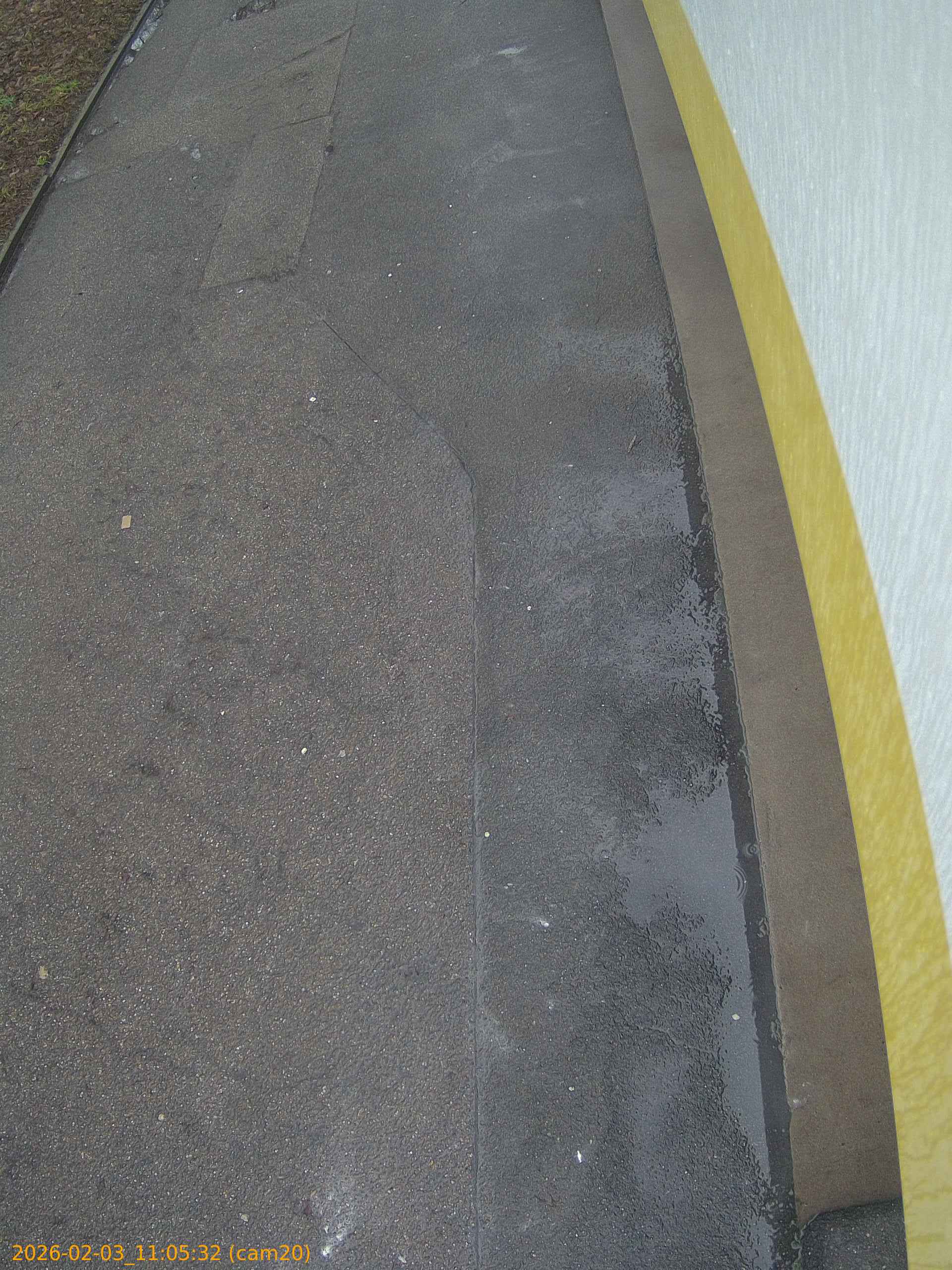 thumbnail_20260203110532