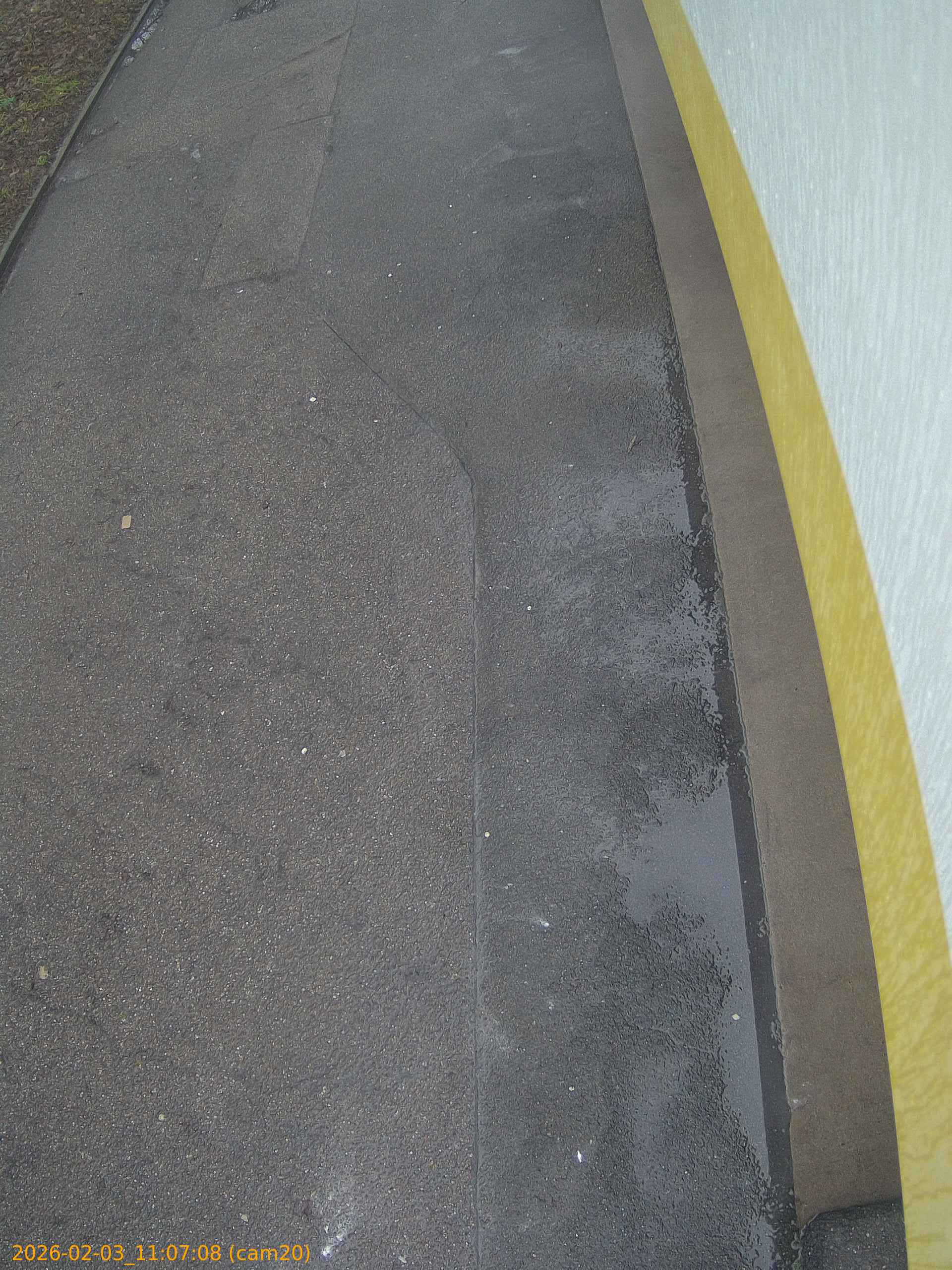 thumbnail_20260203110708