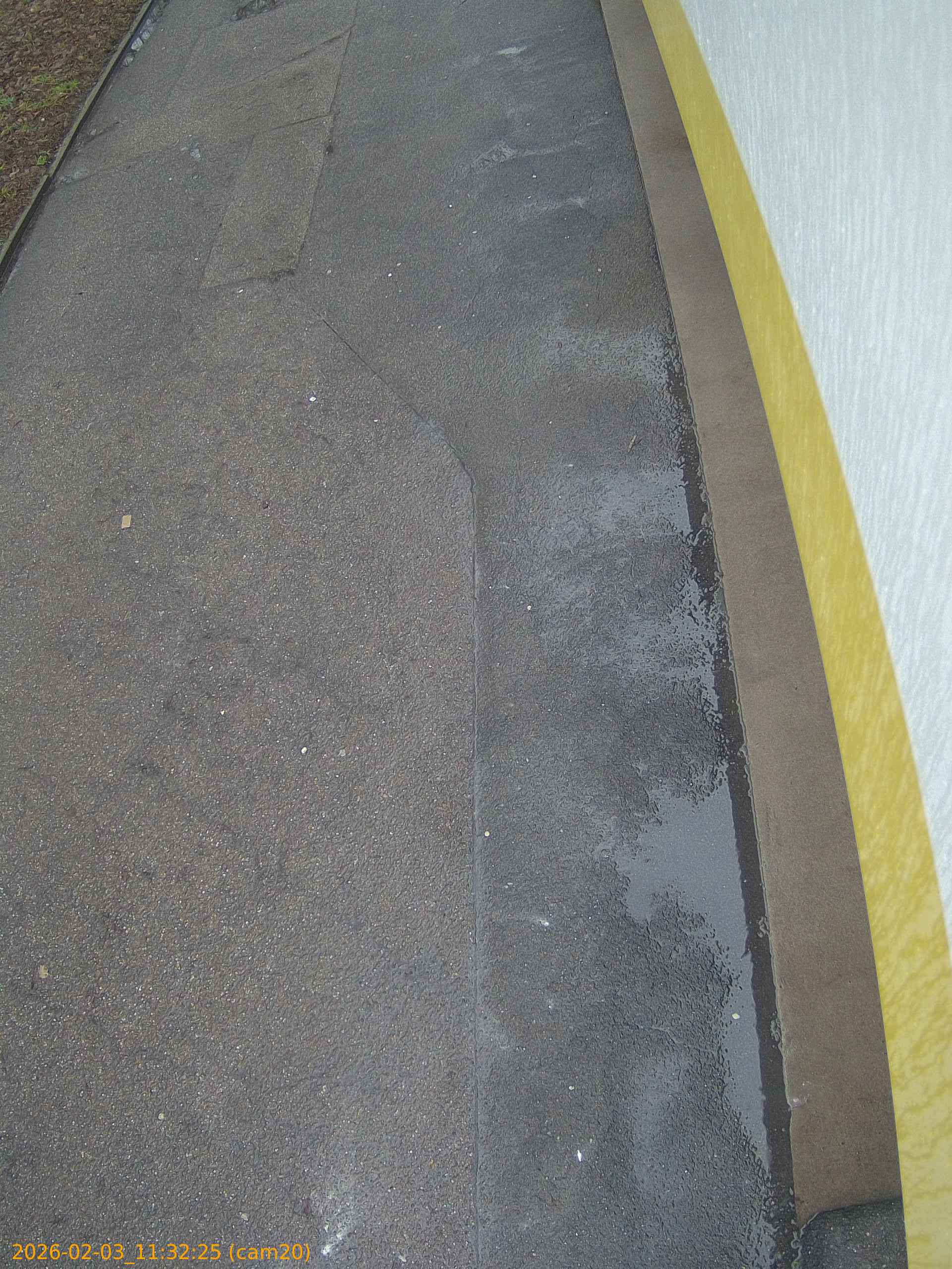 thumbnail_20260203113225