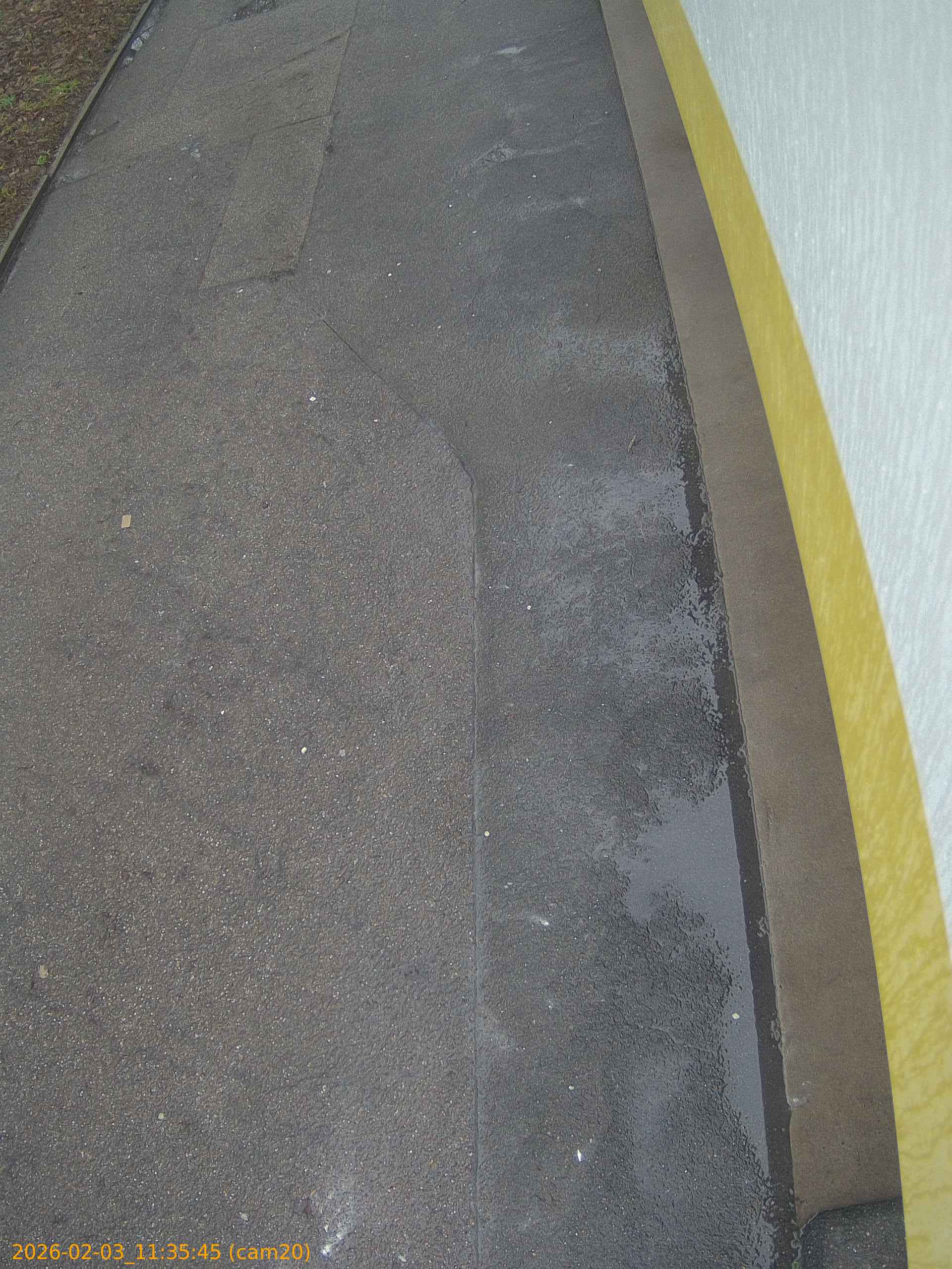 thumbnail_20260203113545