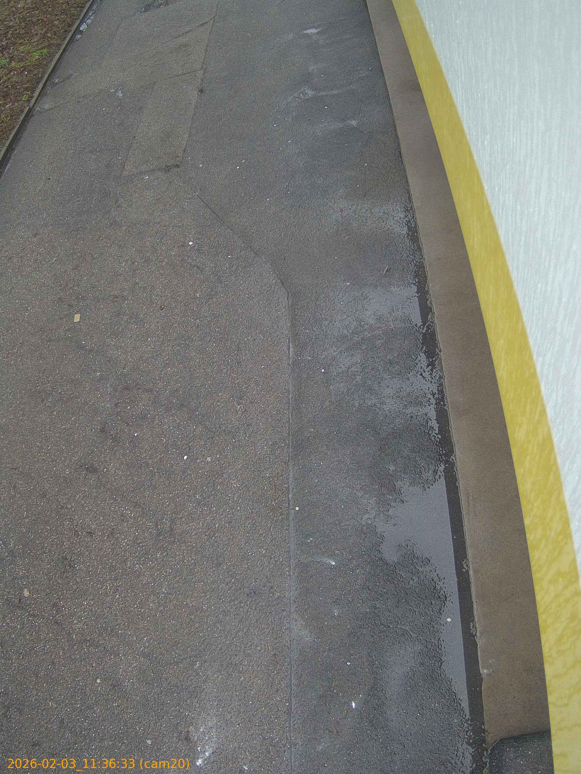 thumbnail_20260203113633