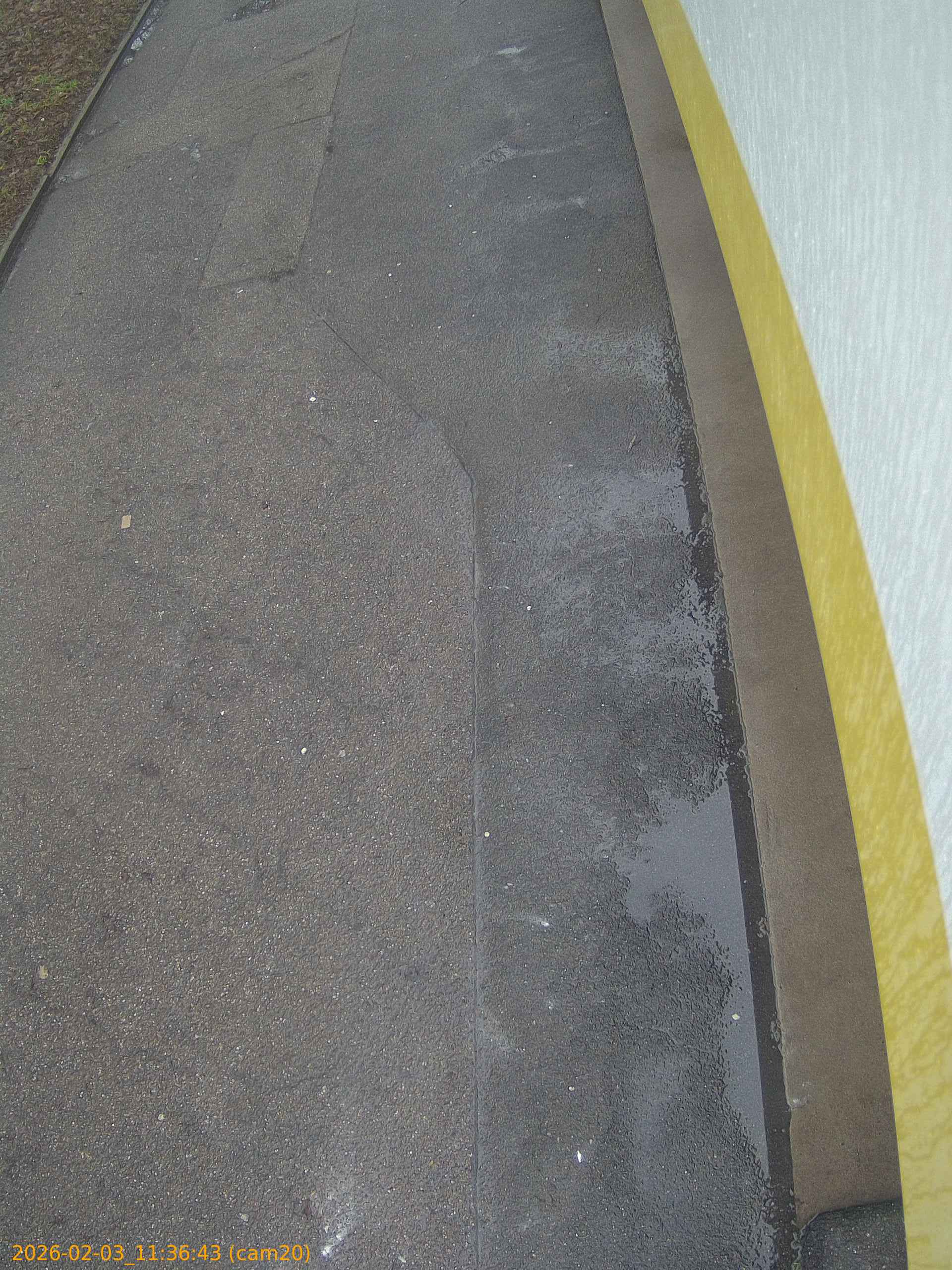 thumbnail_20260203113643