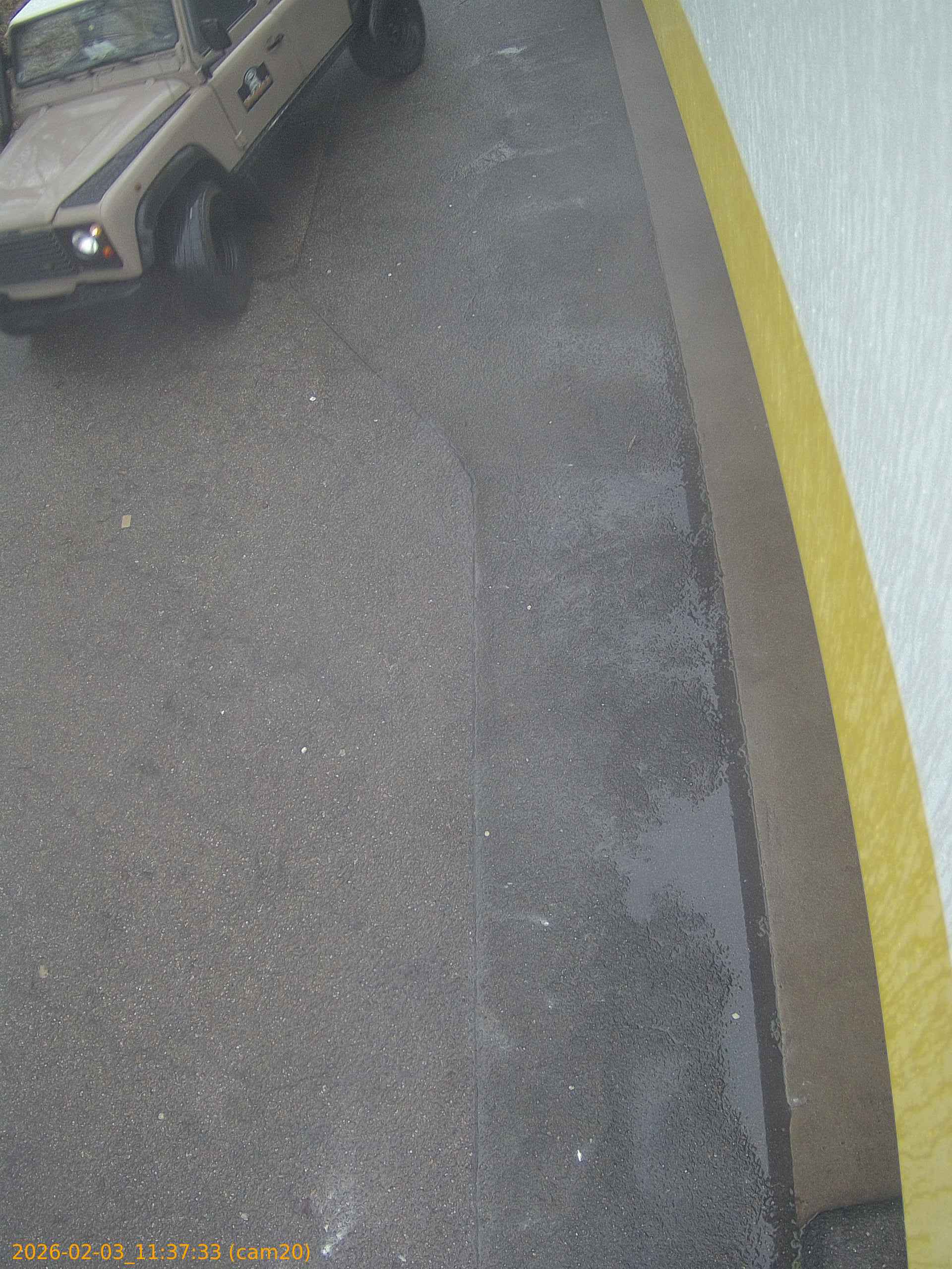 thumbnail_20260203113733