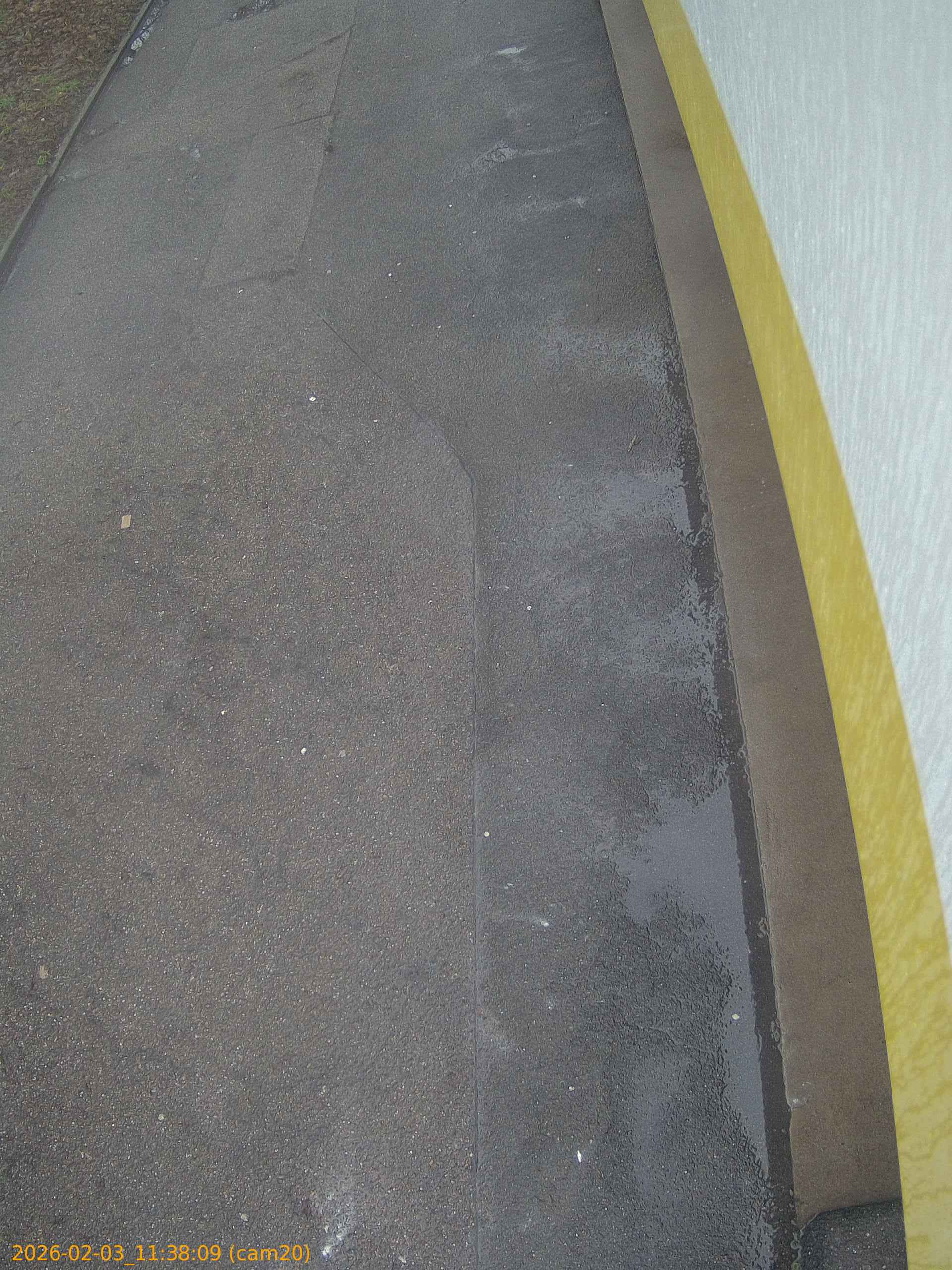 thumbnail_20260203113809